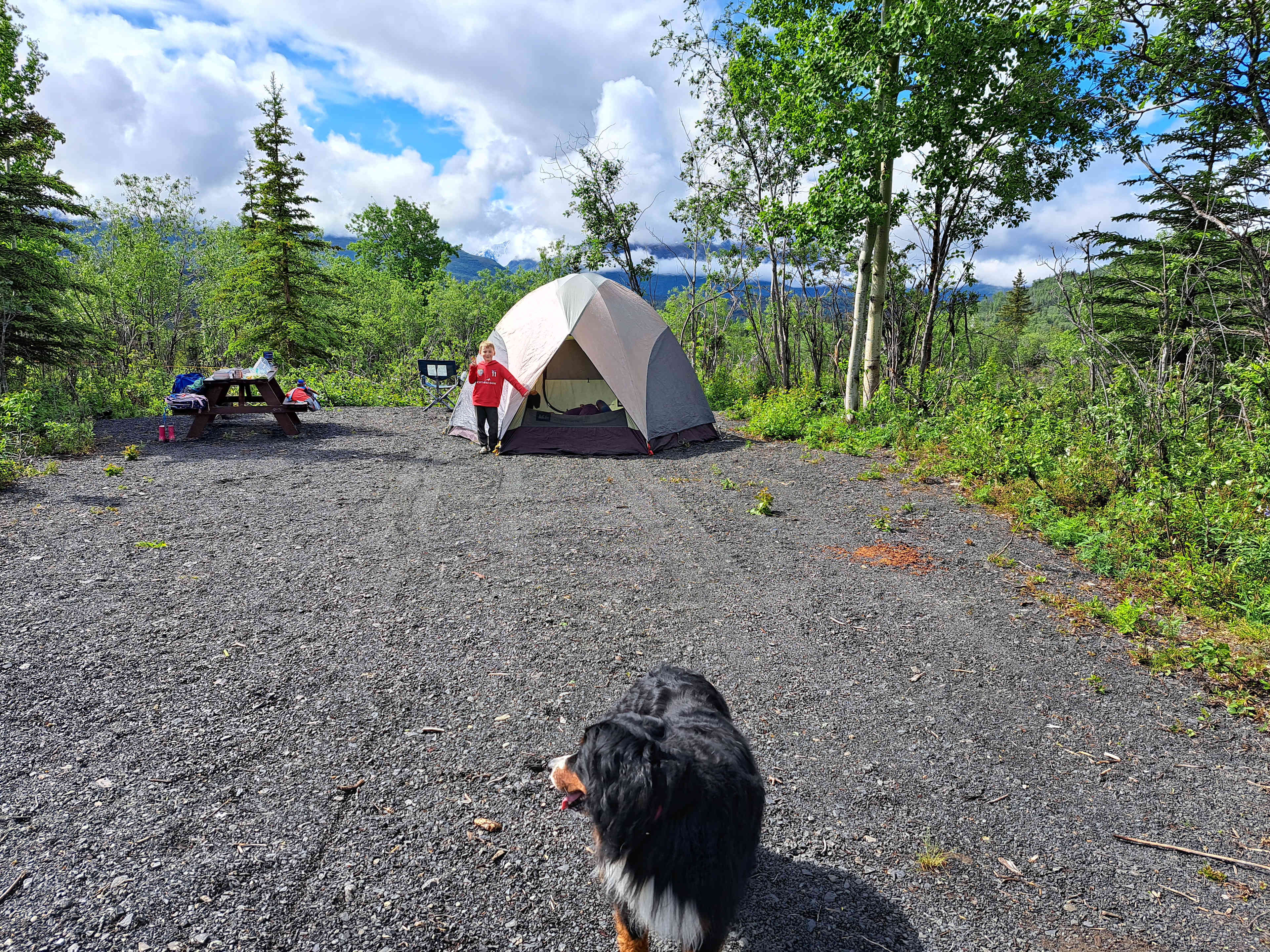 Pinochle Trail Campground