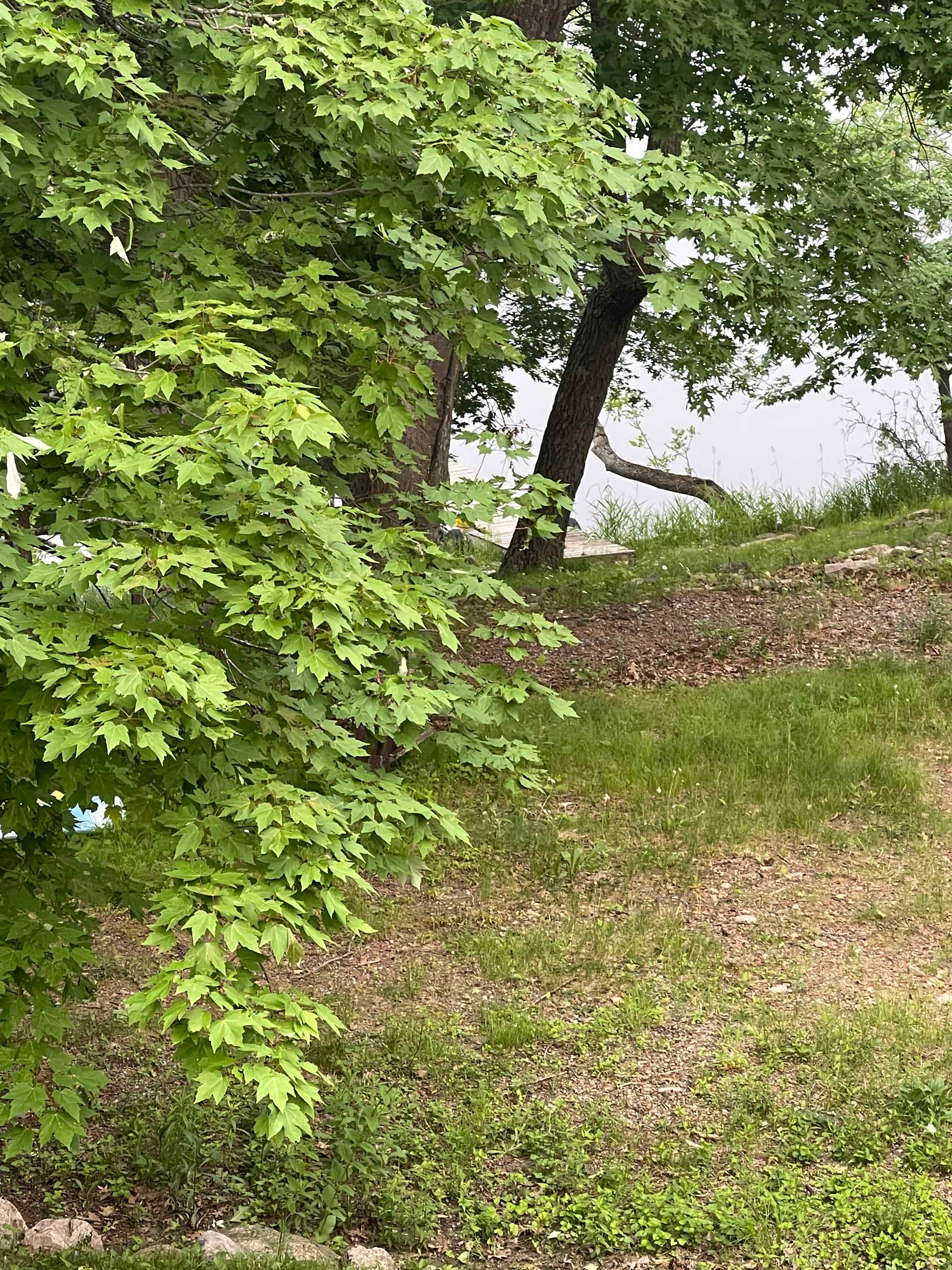 Dad's Piece of Heaven