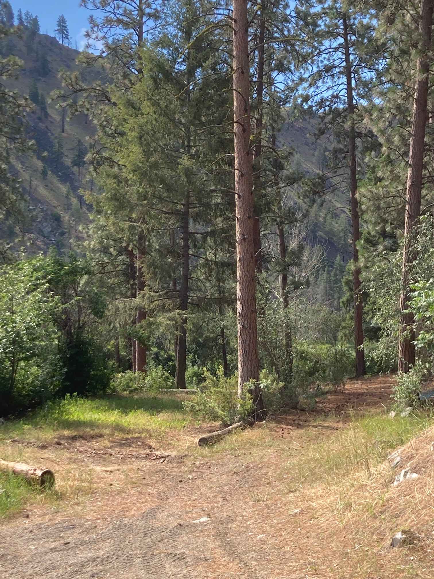 Group Camp area with room for 5-6 tents depending on sizes