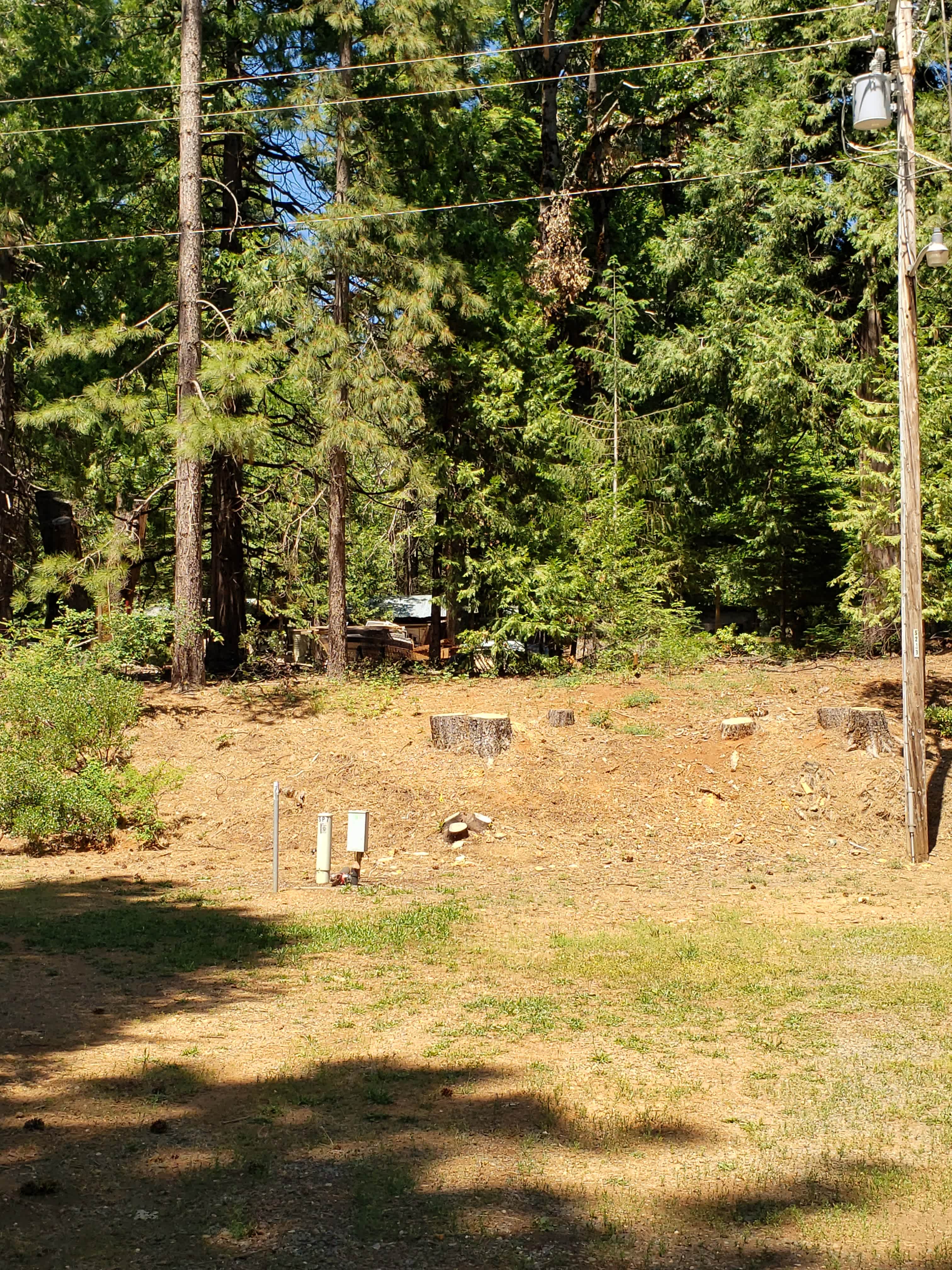 Picture of the site