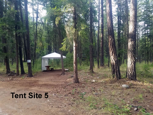 Picture of the site