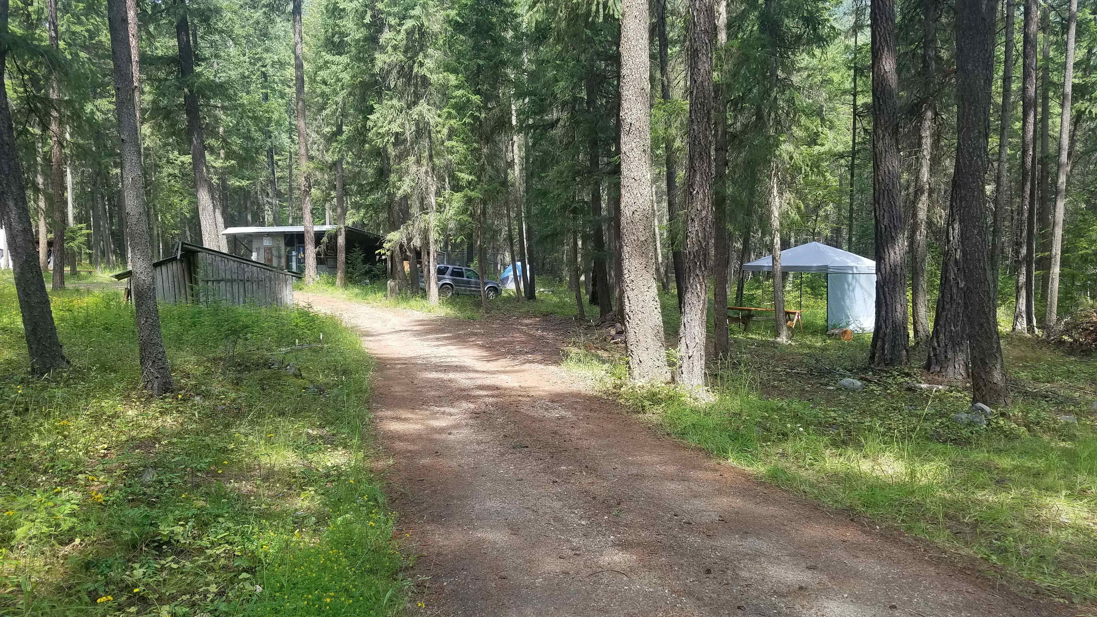 Picture of the site