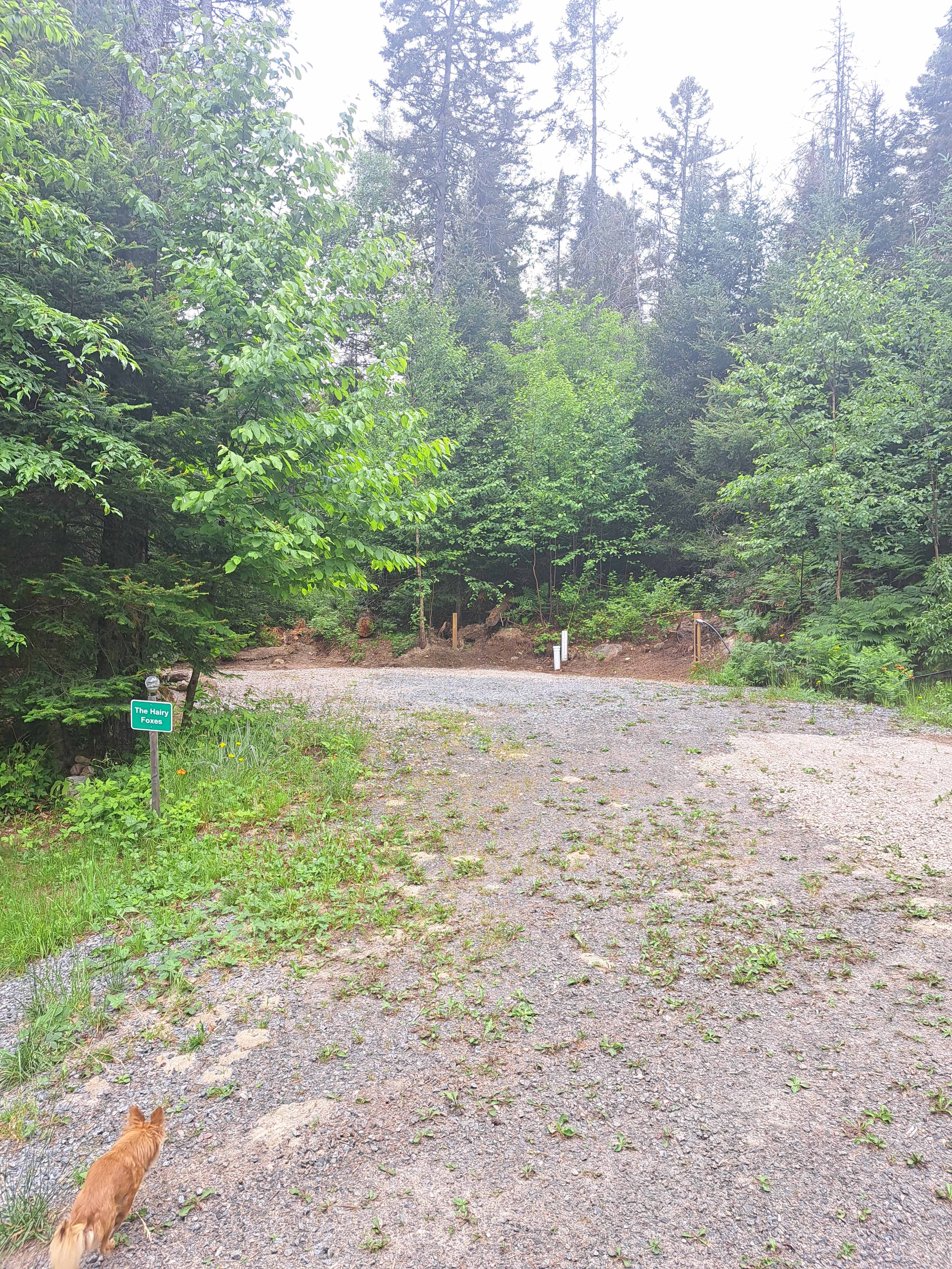 Picture of the site
