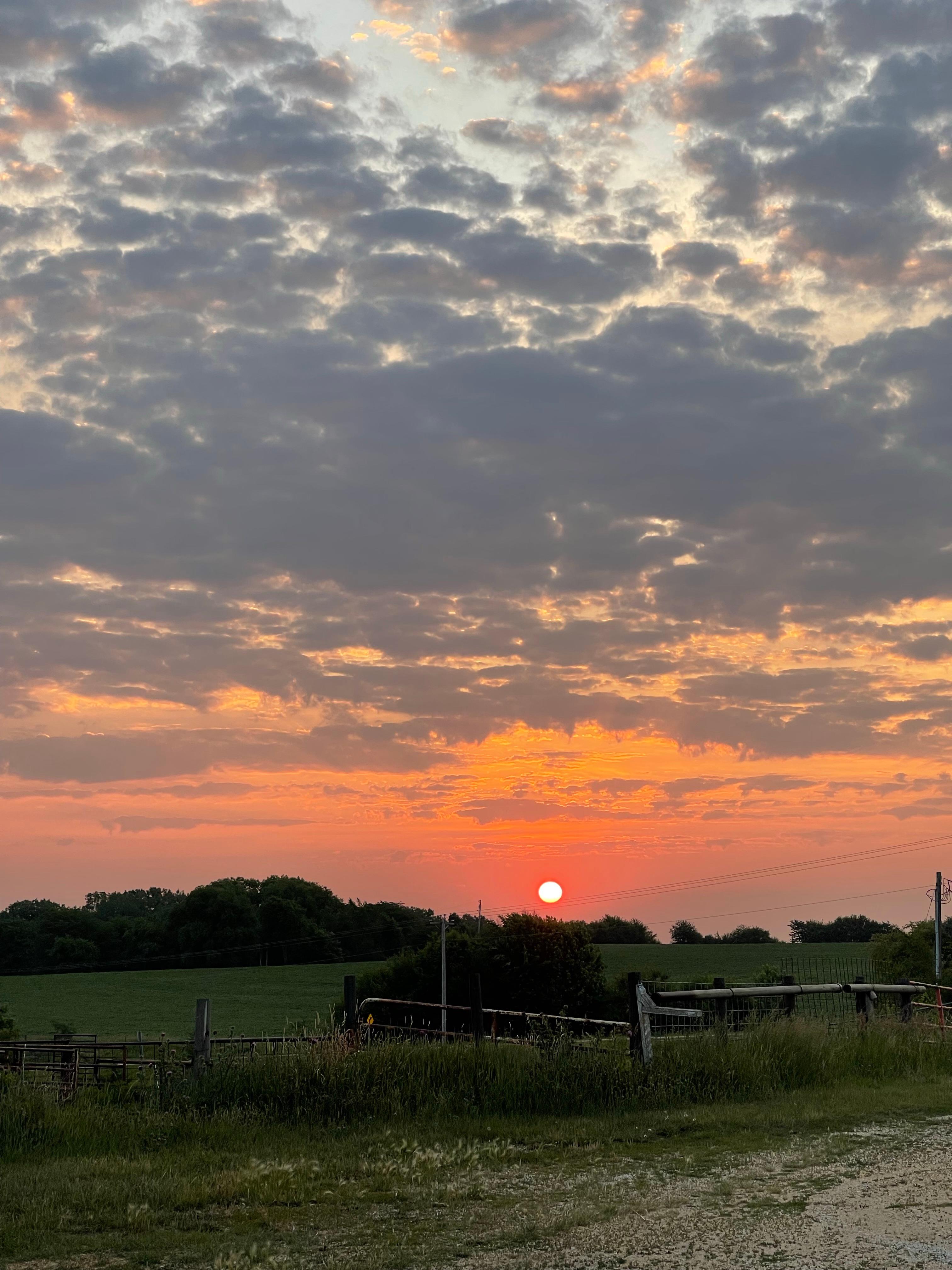 Firefly Creek Ranch