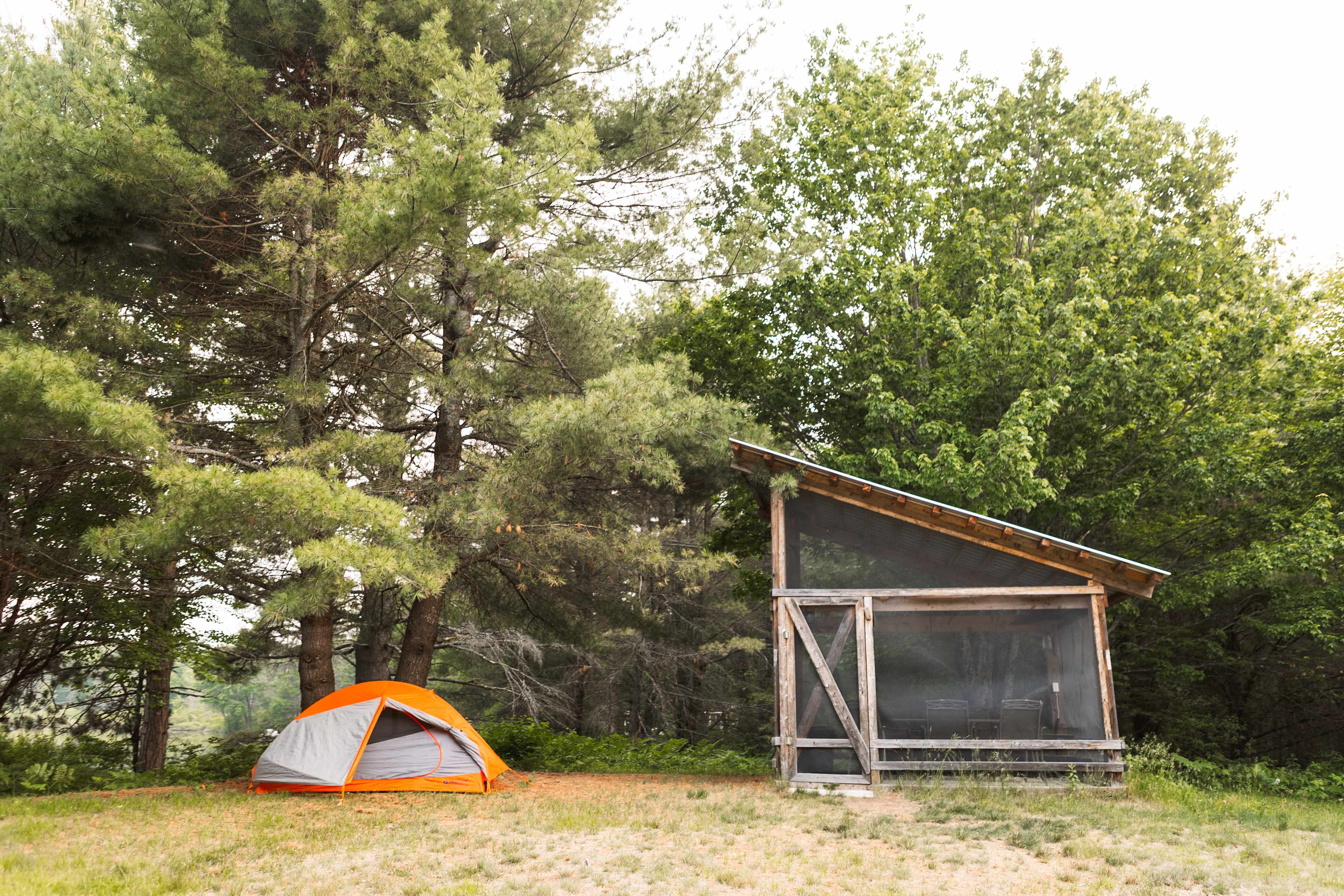 Tent under the pines