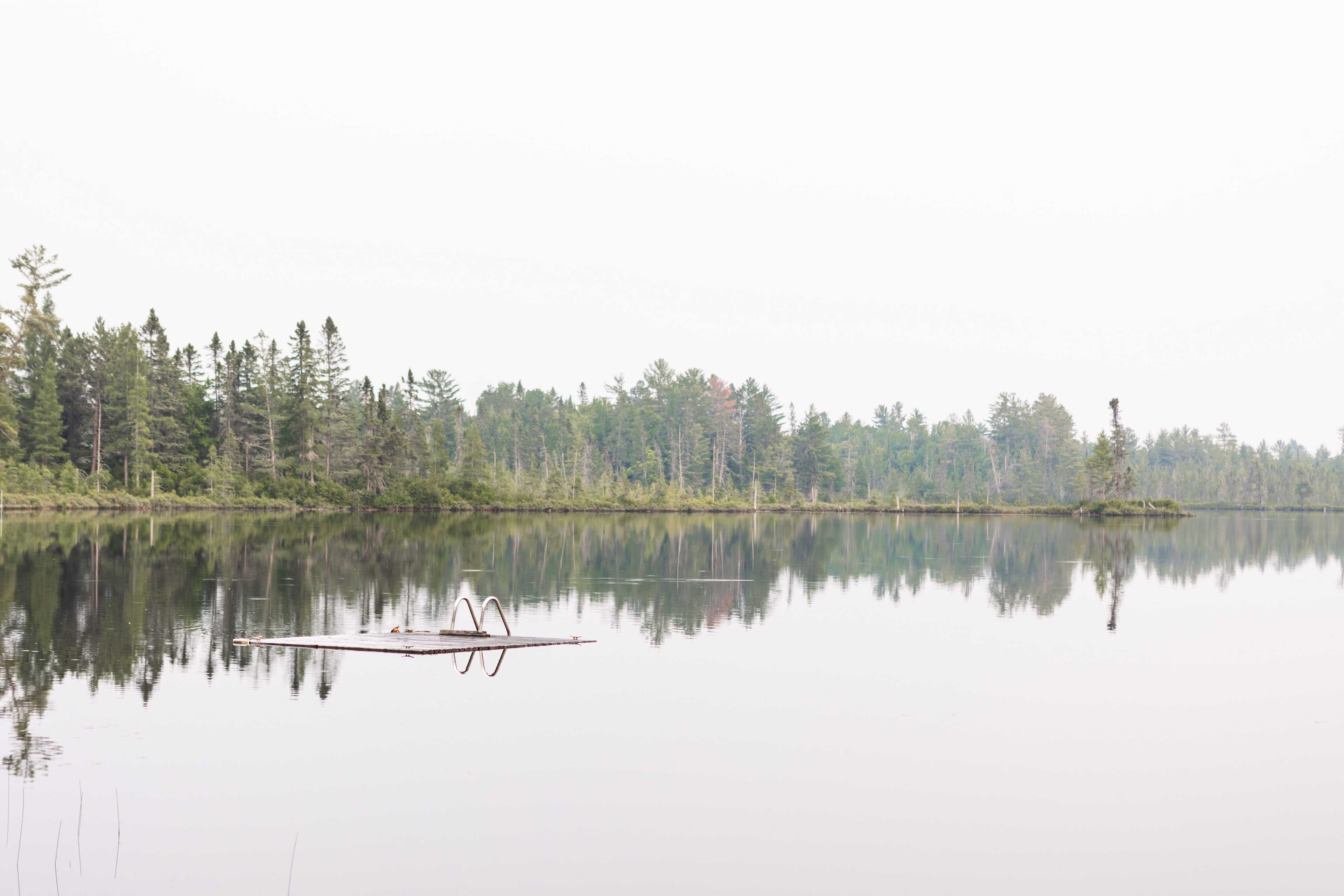the pond 