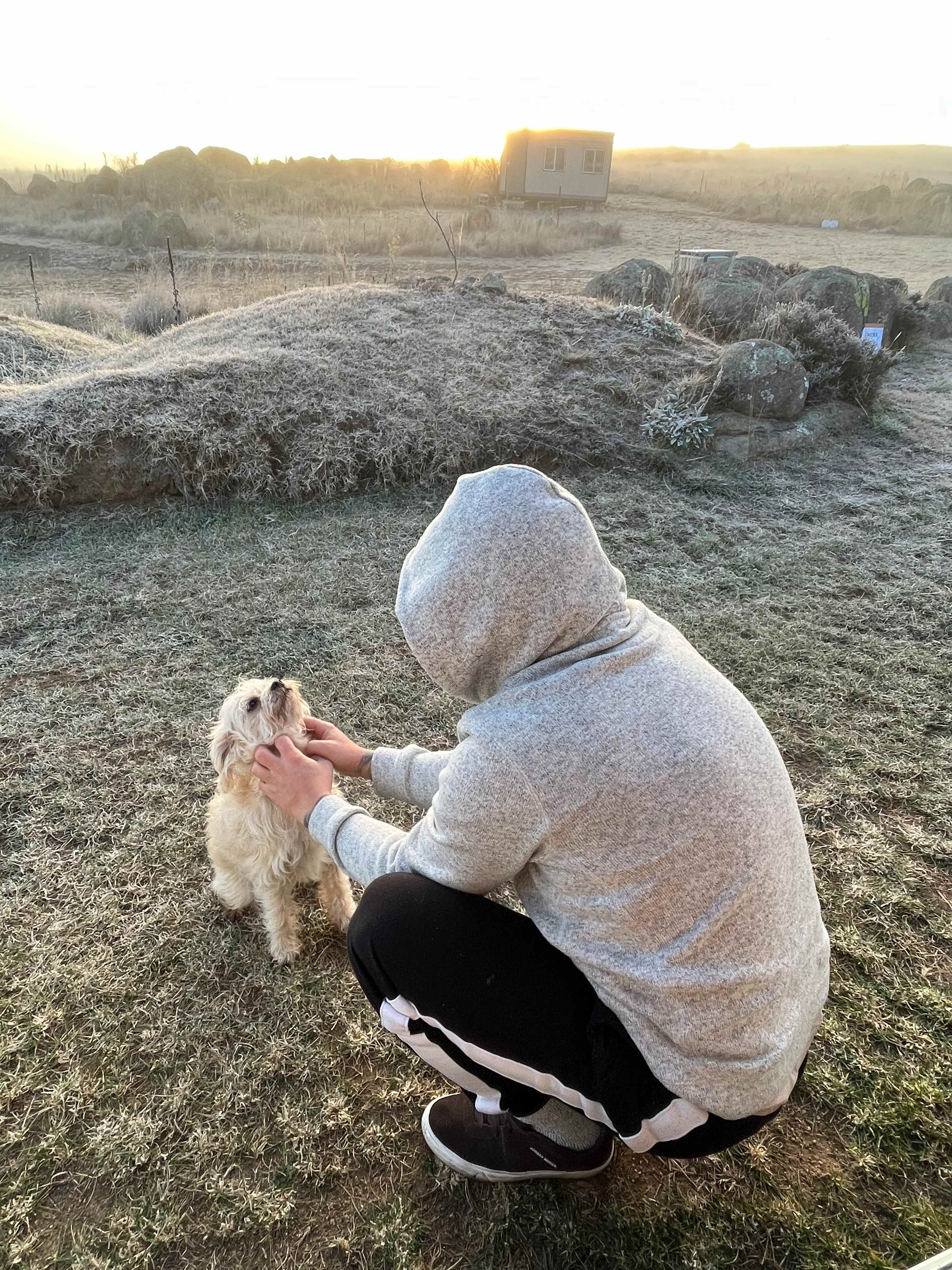 Cuddly, friendly resident 