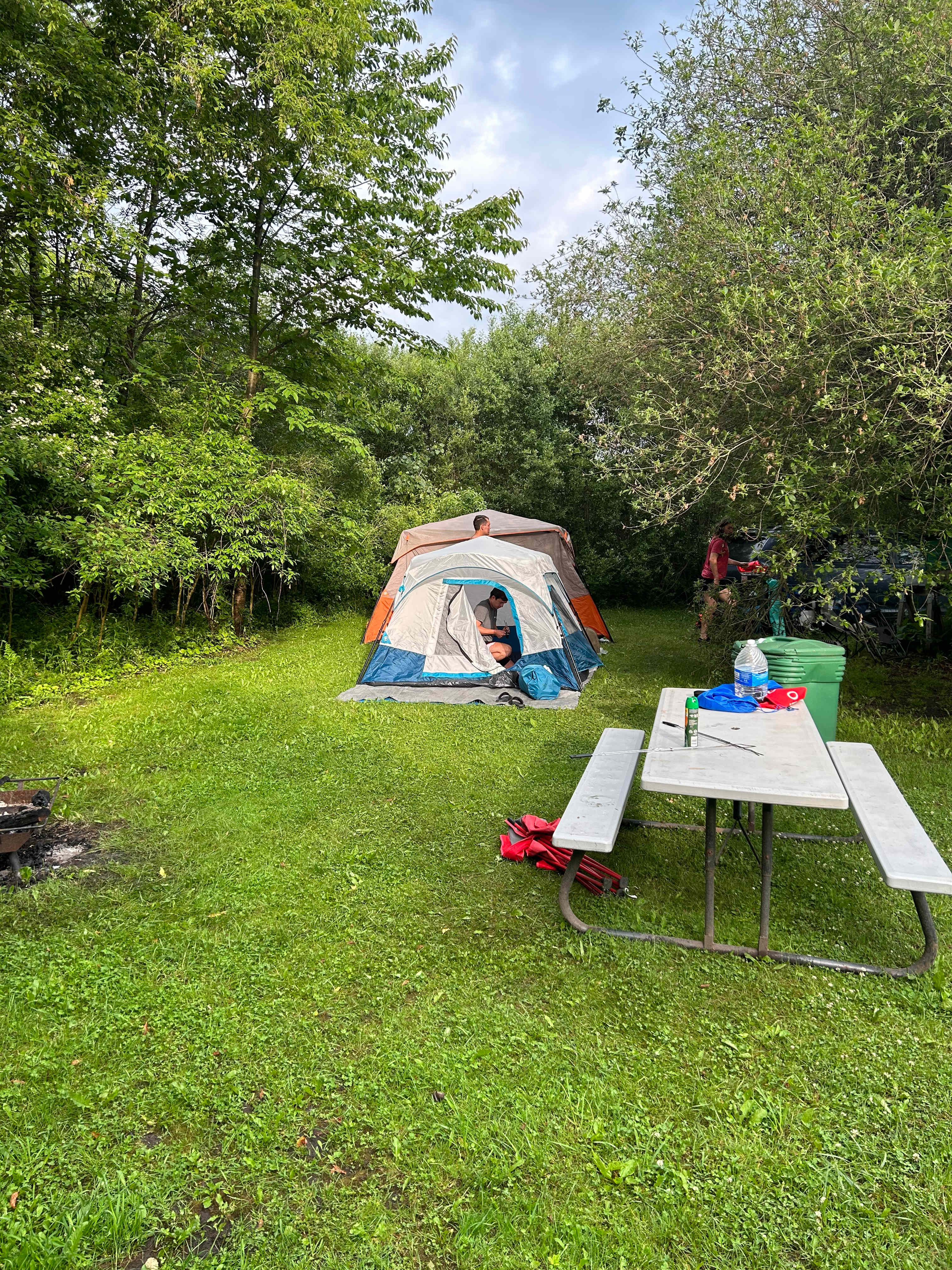 Picture of the site
