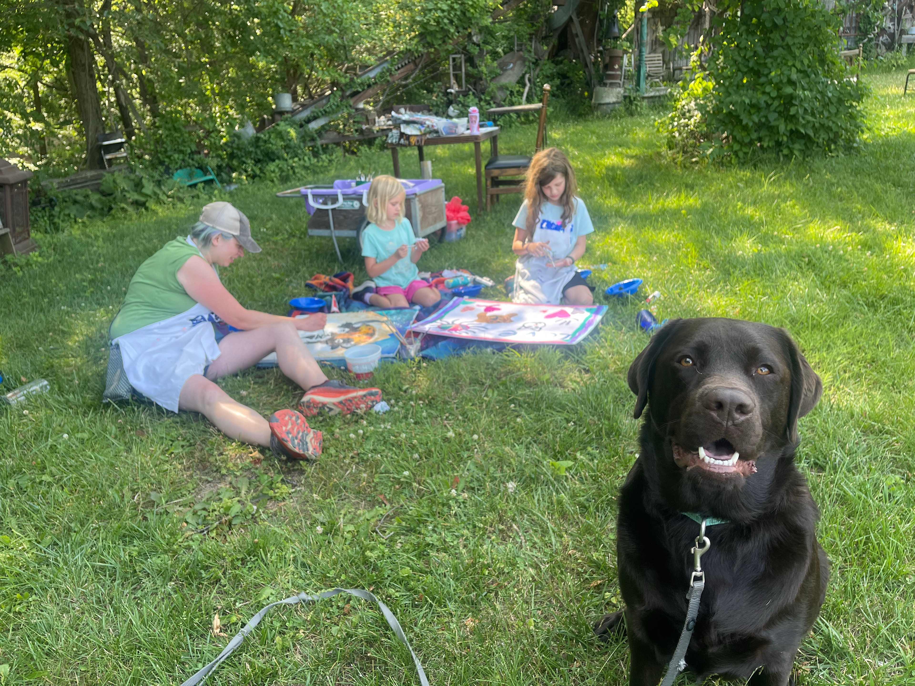 n*Everland Barnyard Camping