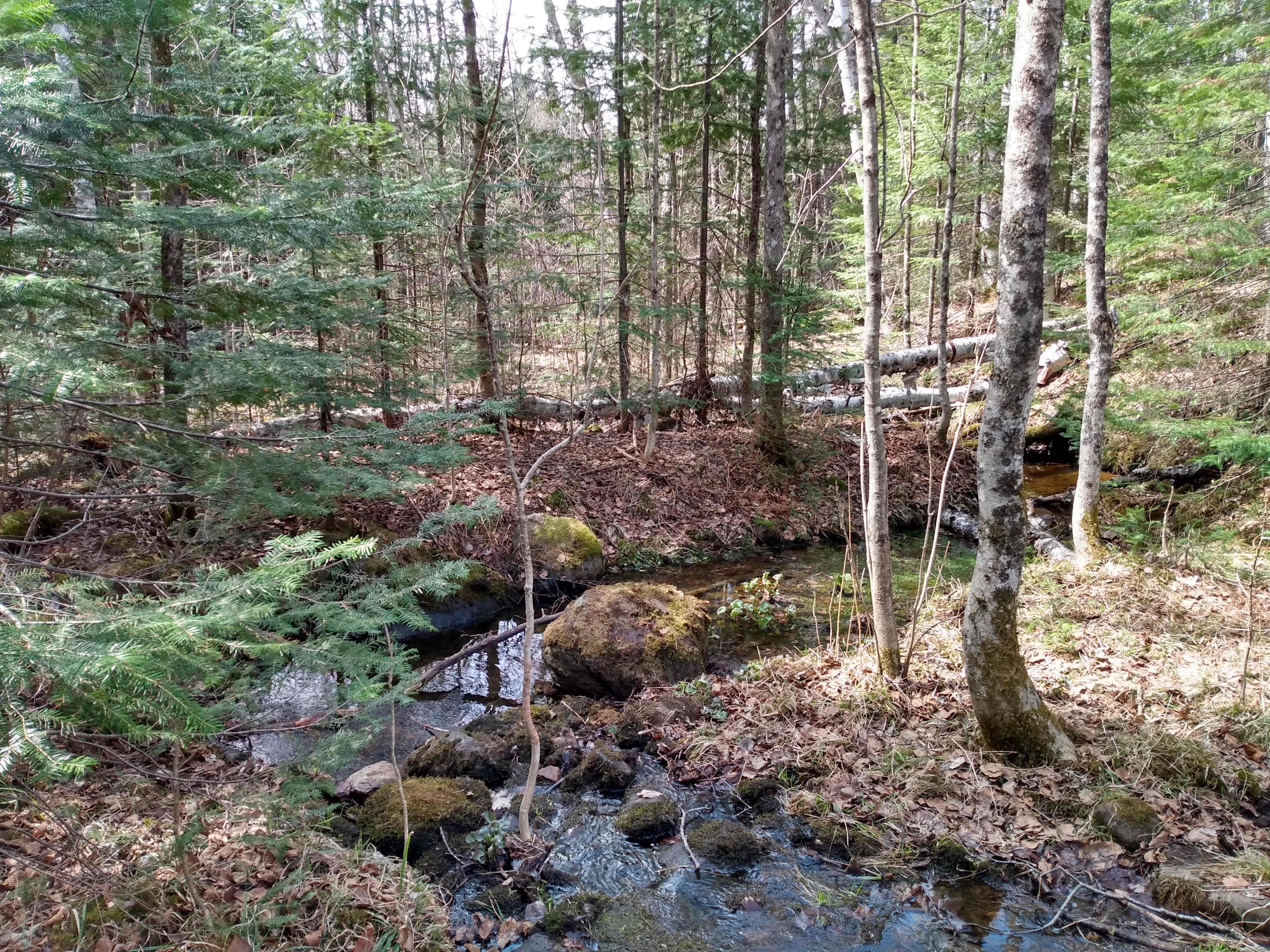 Grand Marais Get-A-Way site with seasonal creek