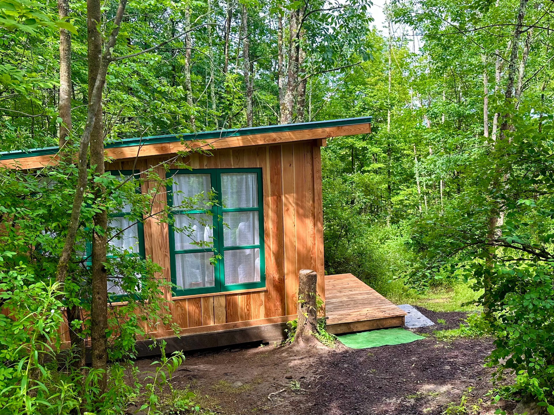 tiny wildflower cabin and front deck