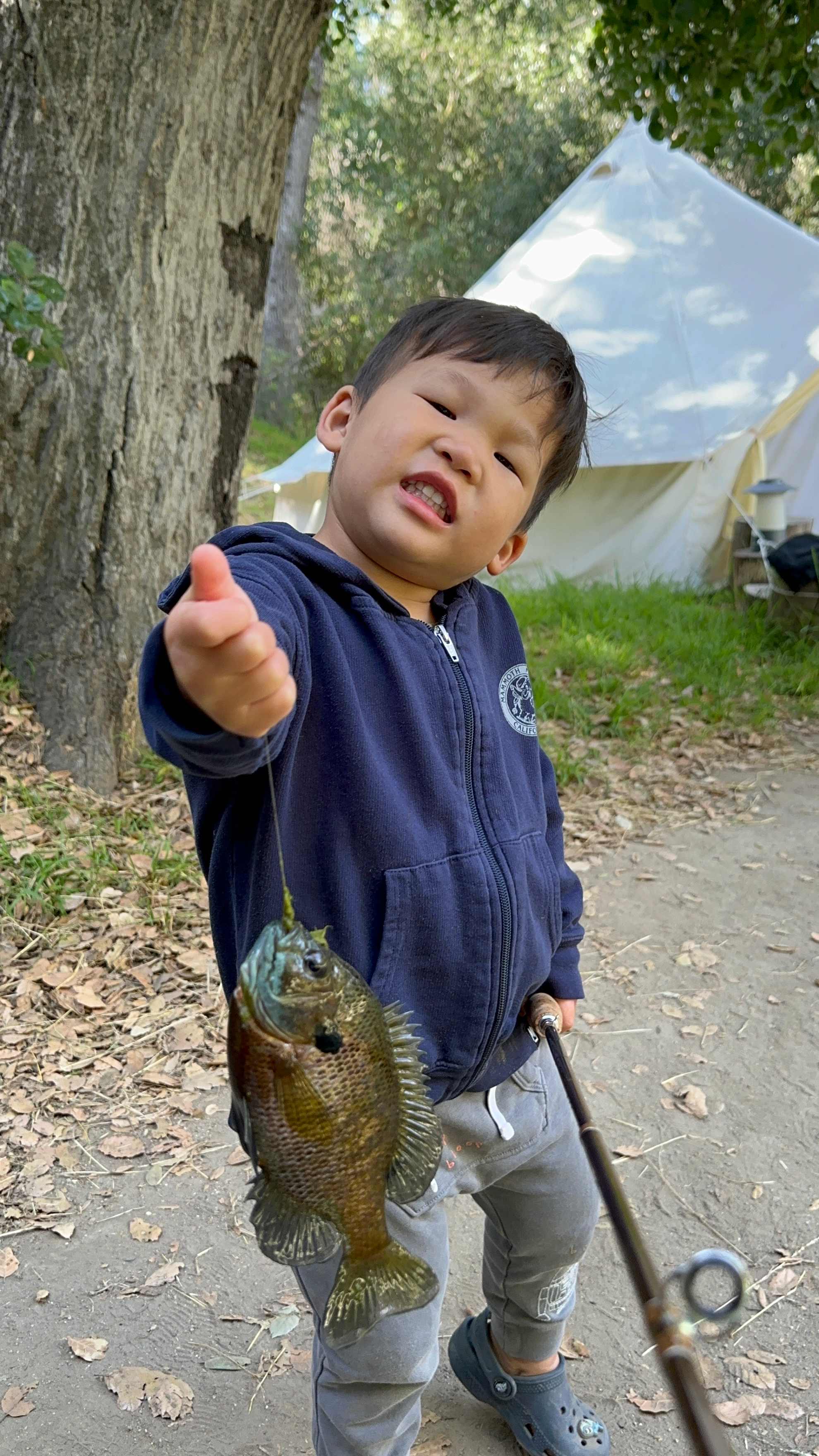Temecula Bullfrog Pond