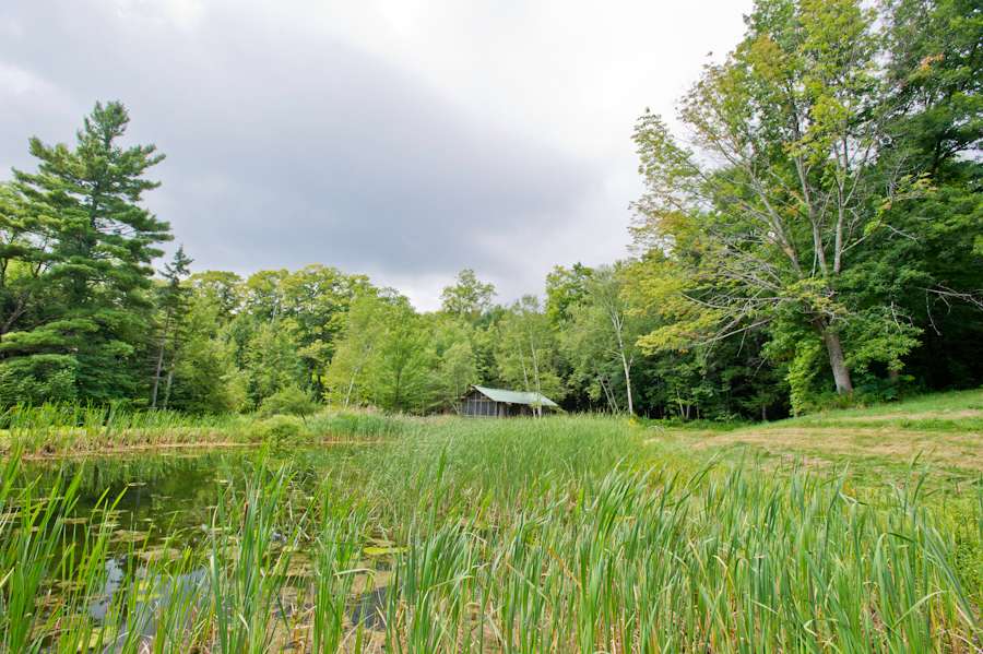 the pond in front of the pondhouse