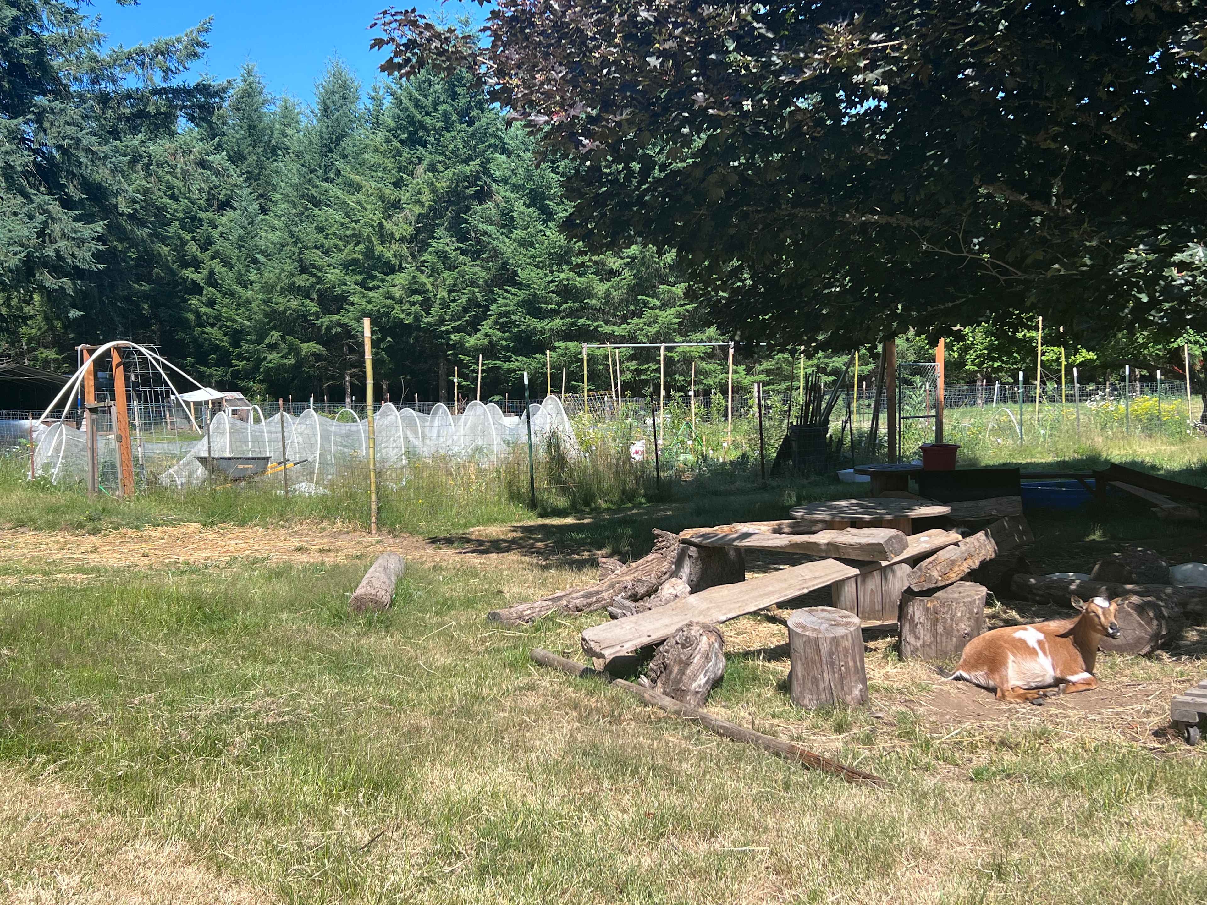 Homestead By Estacada Lake