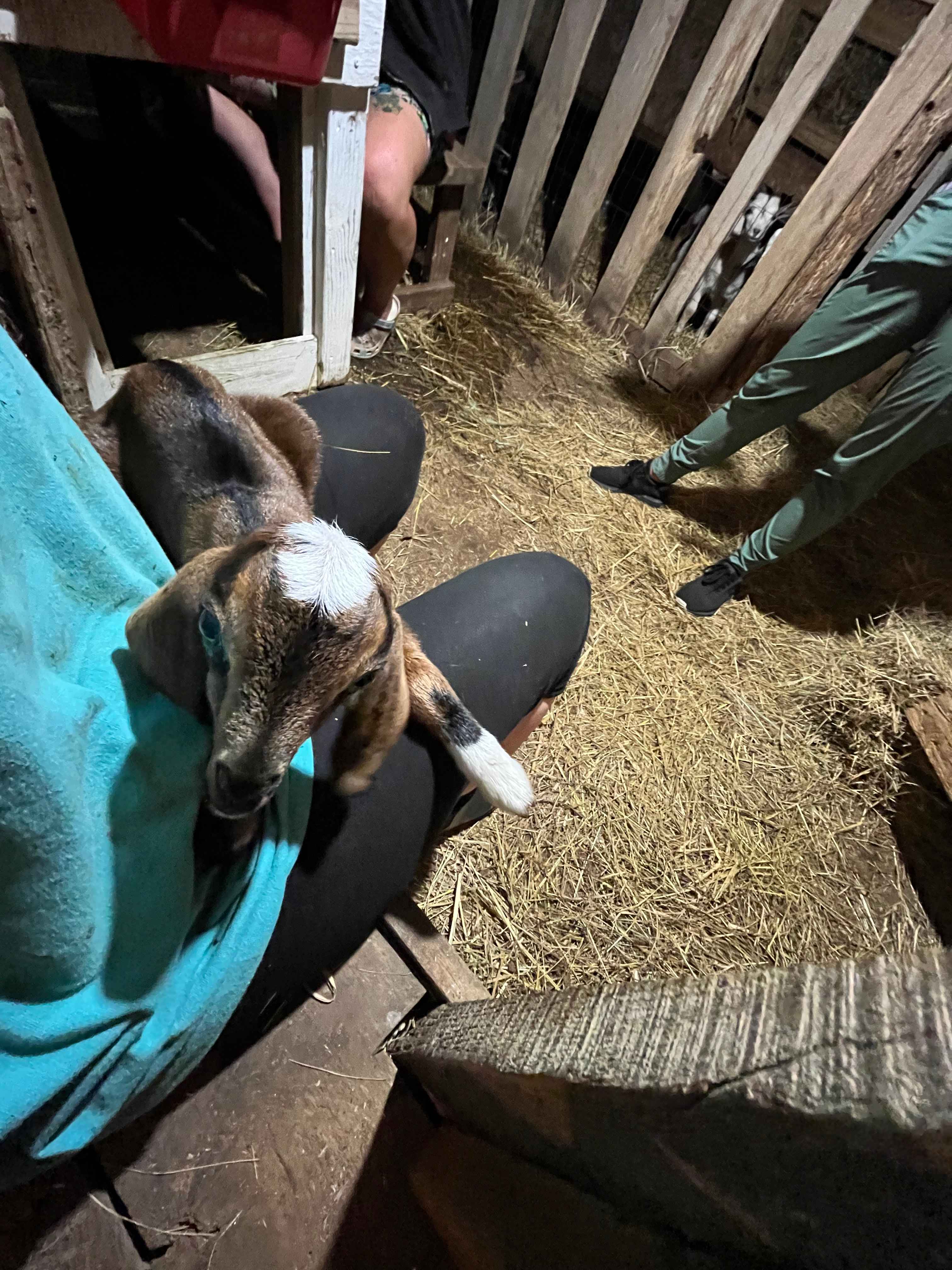 Three days old 🥹