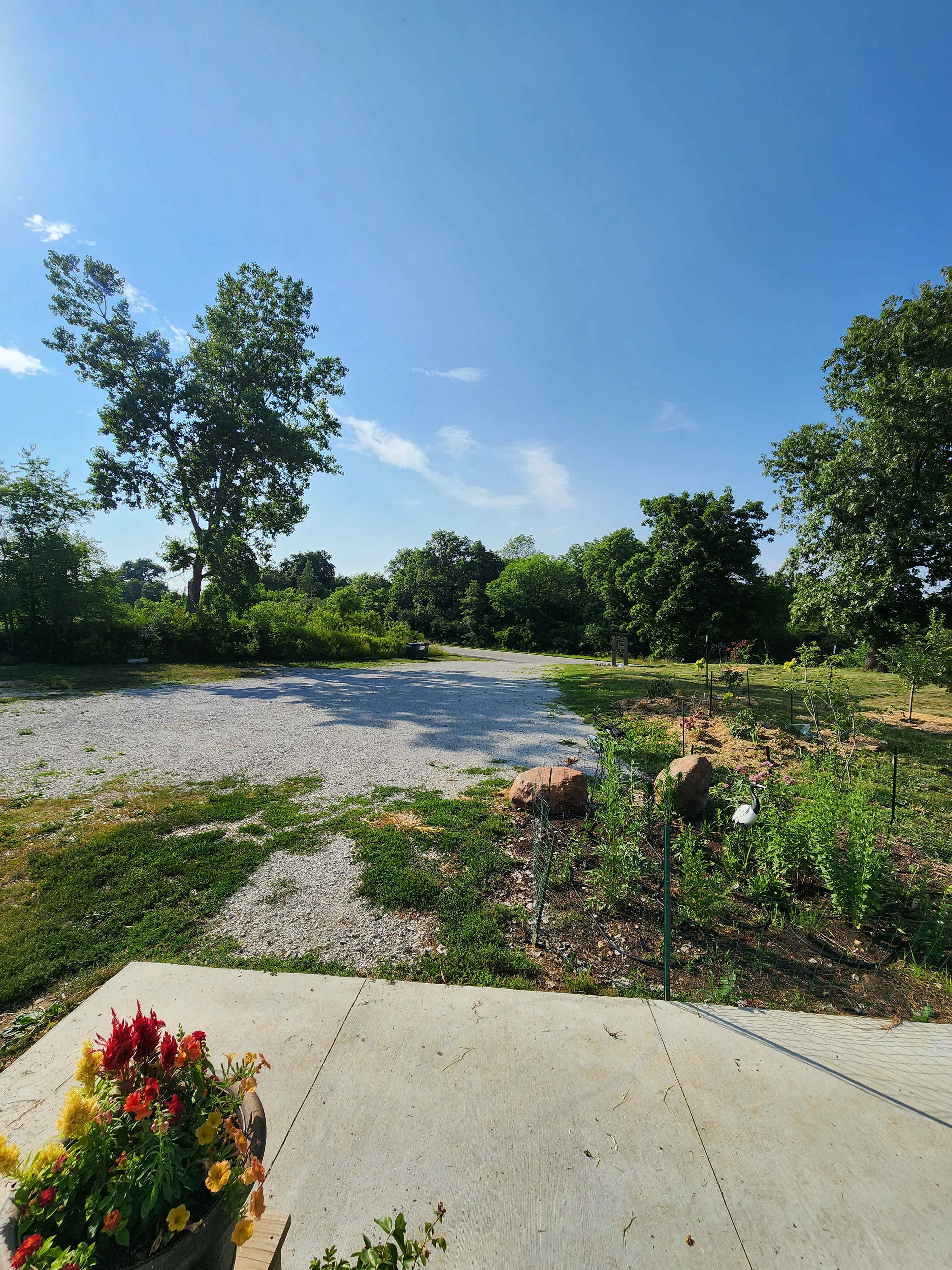 Picture of the site