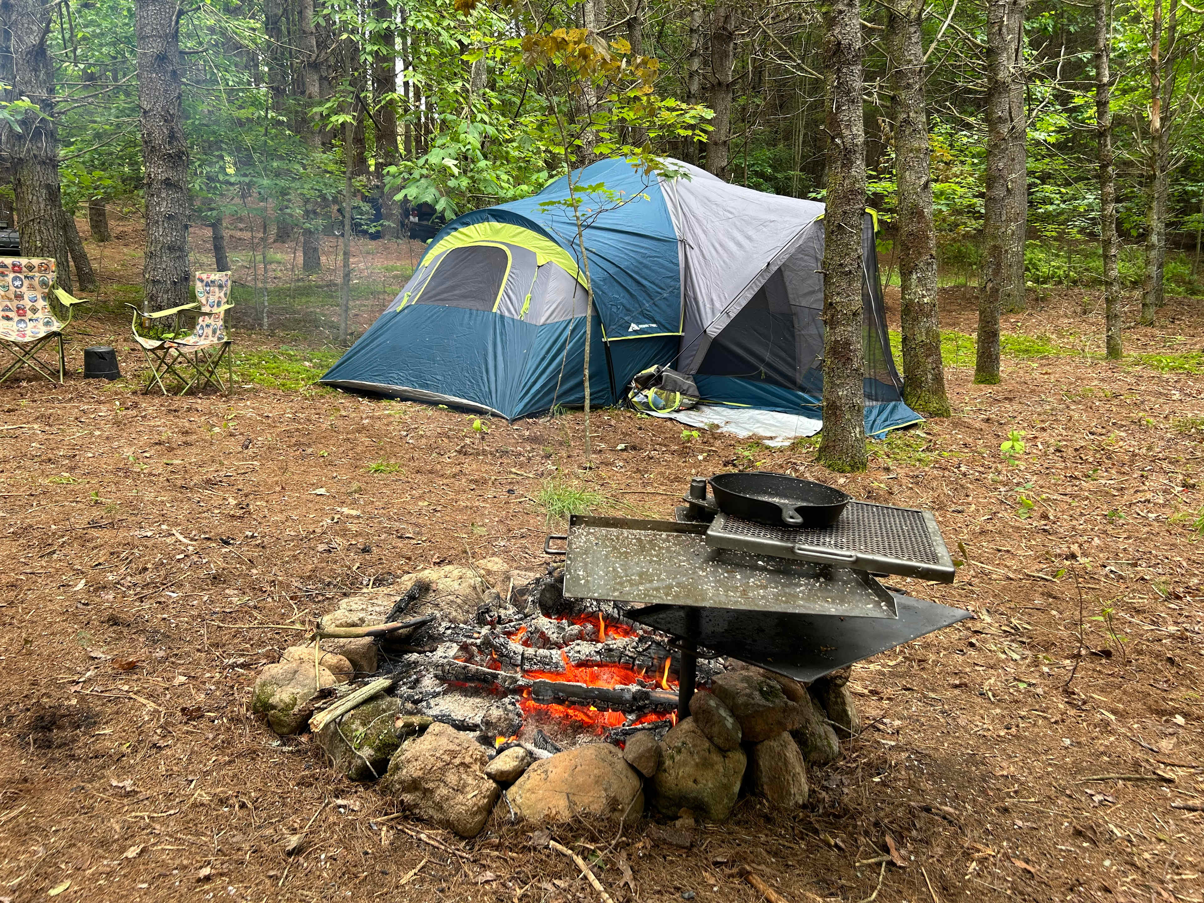 Deep in nature nestled within the trees. 
