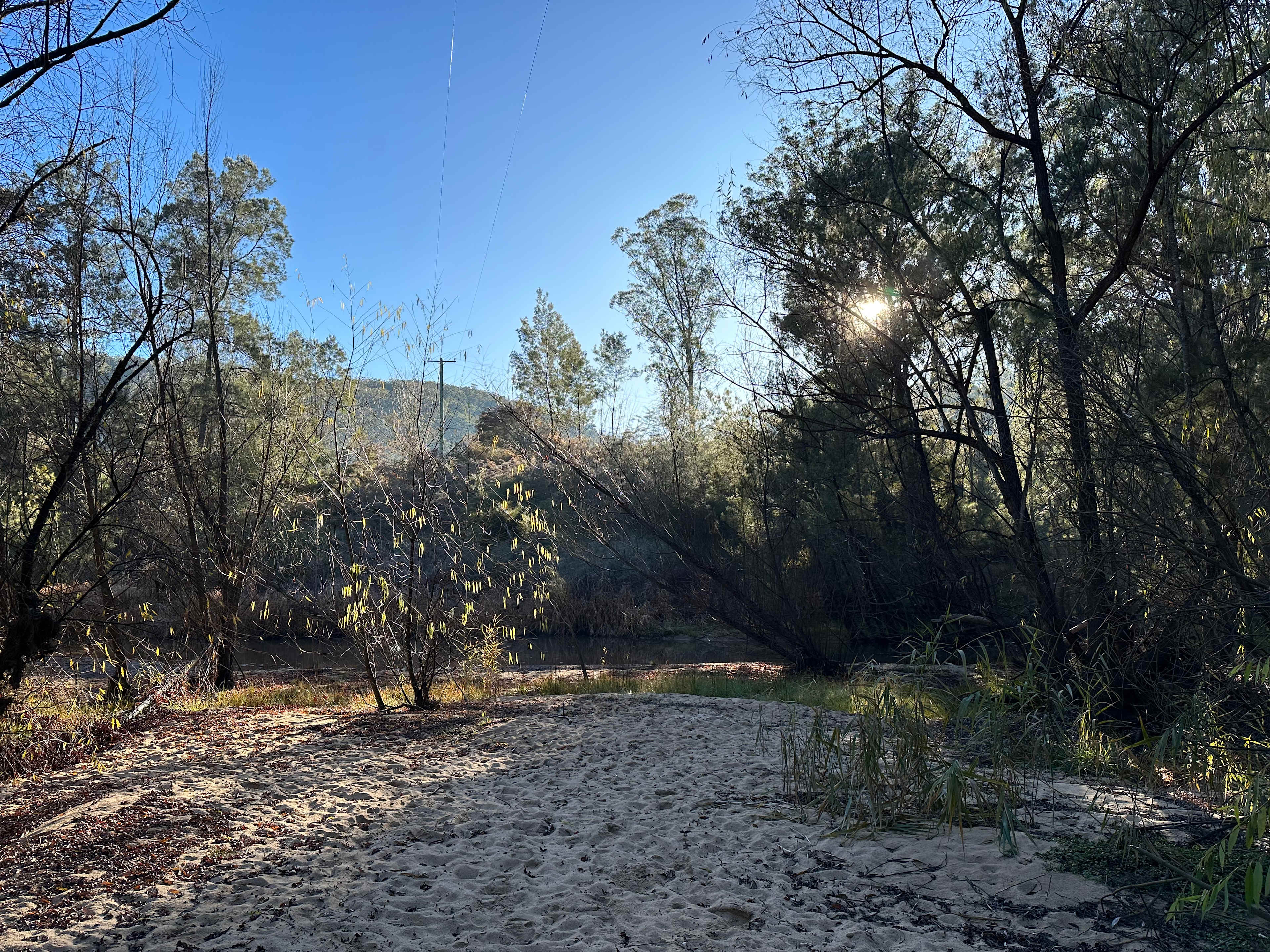 Picture of the site