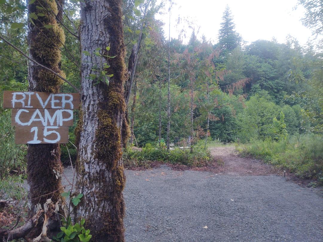 RiverCamp 15