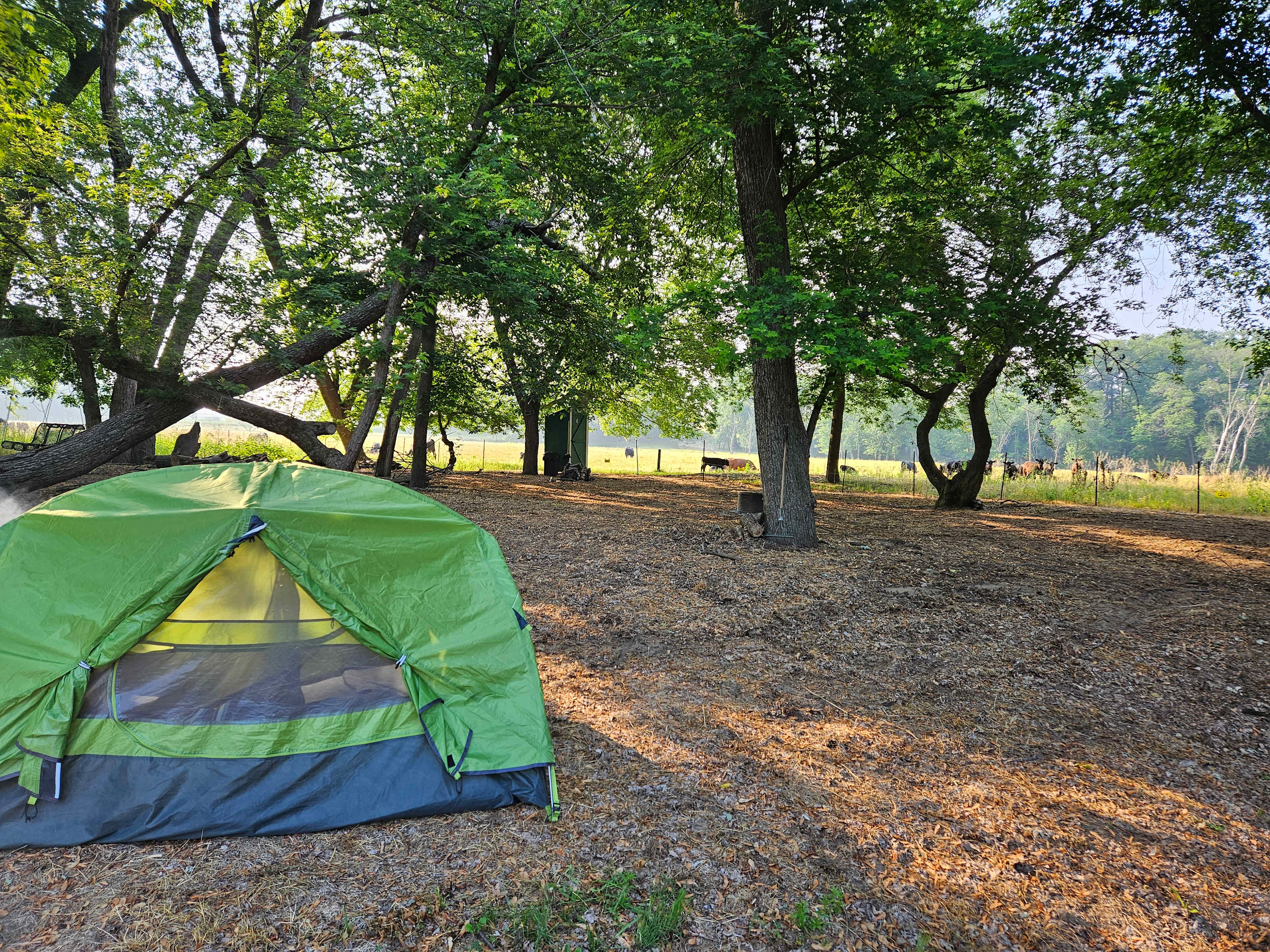 Picture of the site