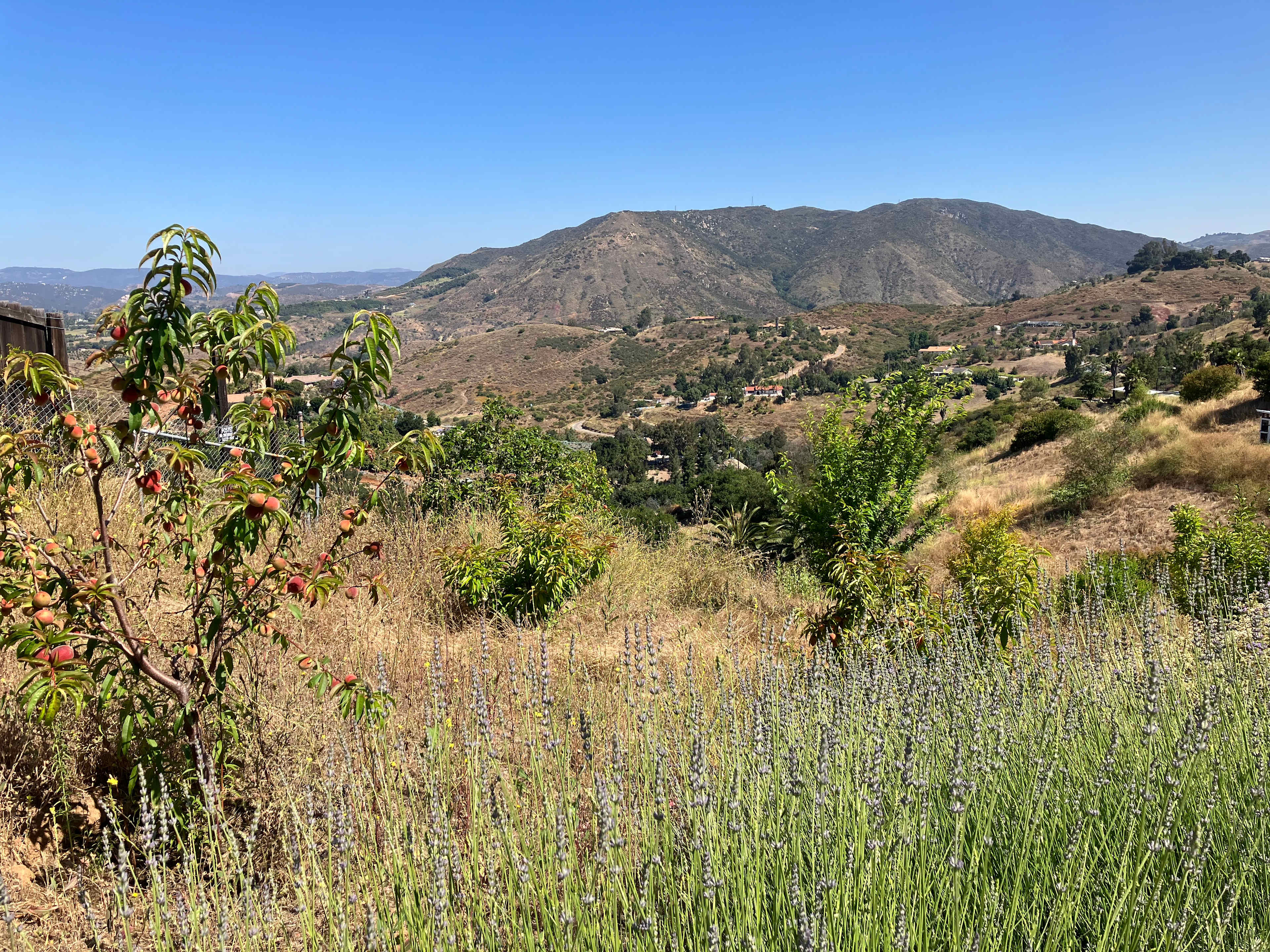 Santa Margarita River Valley Ranch