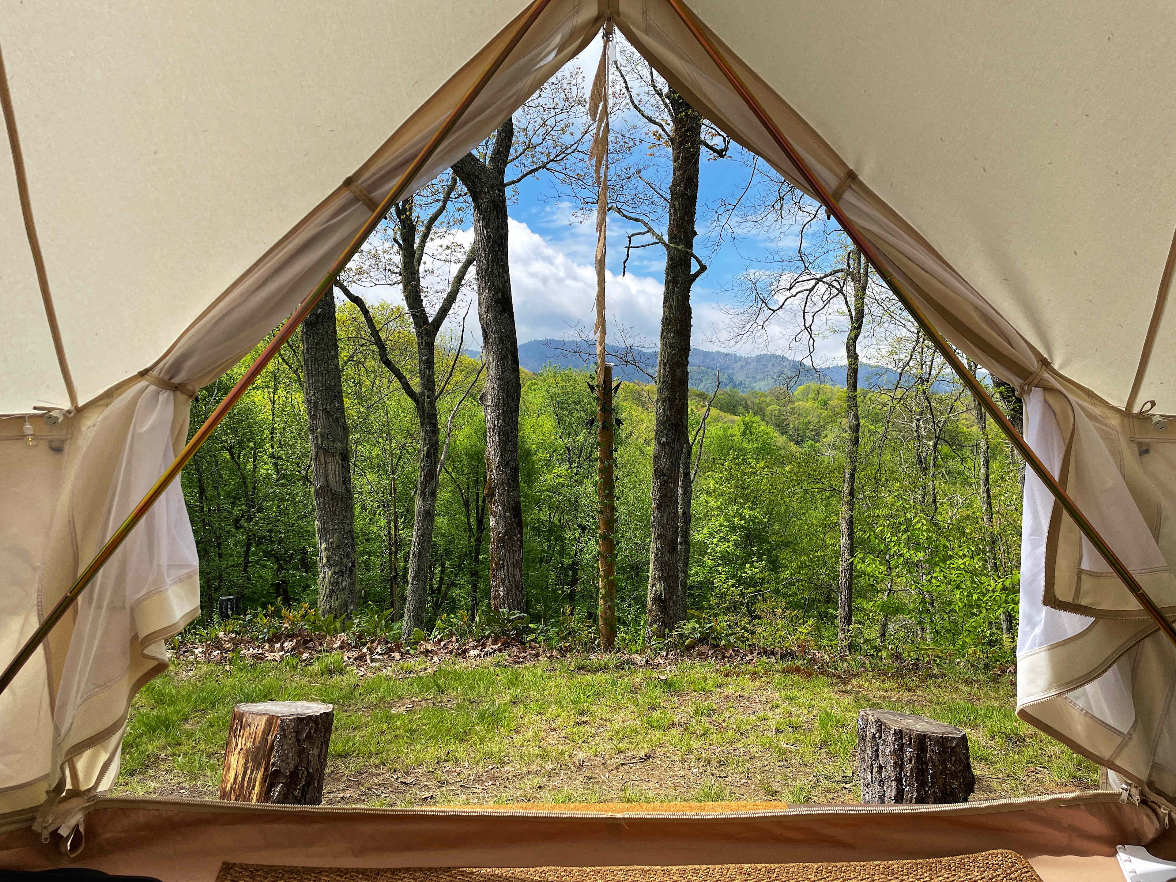 View from the tent