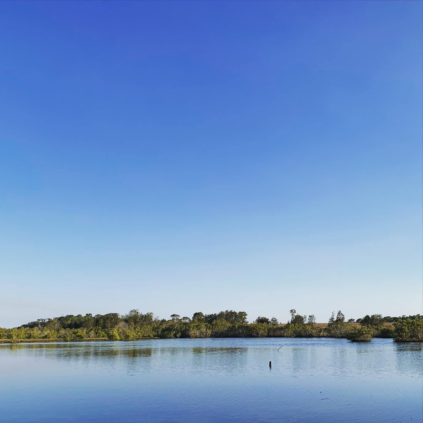 A bird watchers paradise with over 48 species at your doorstep. 