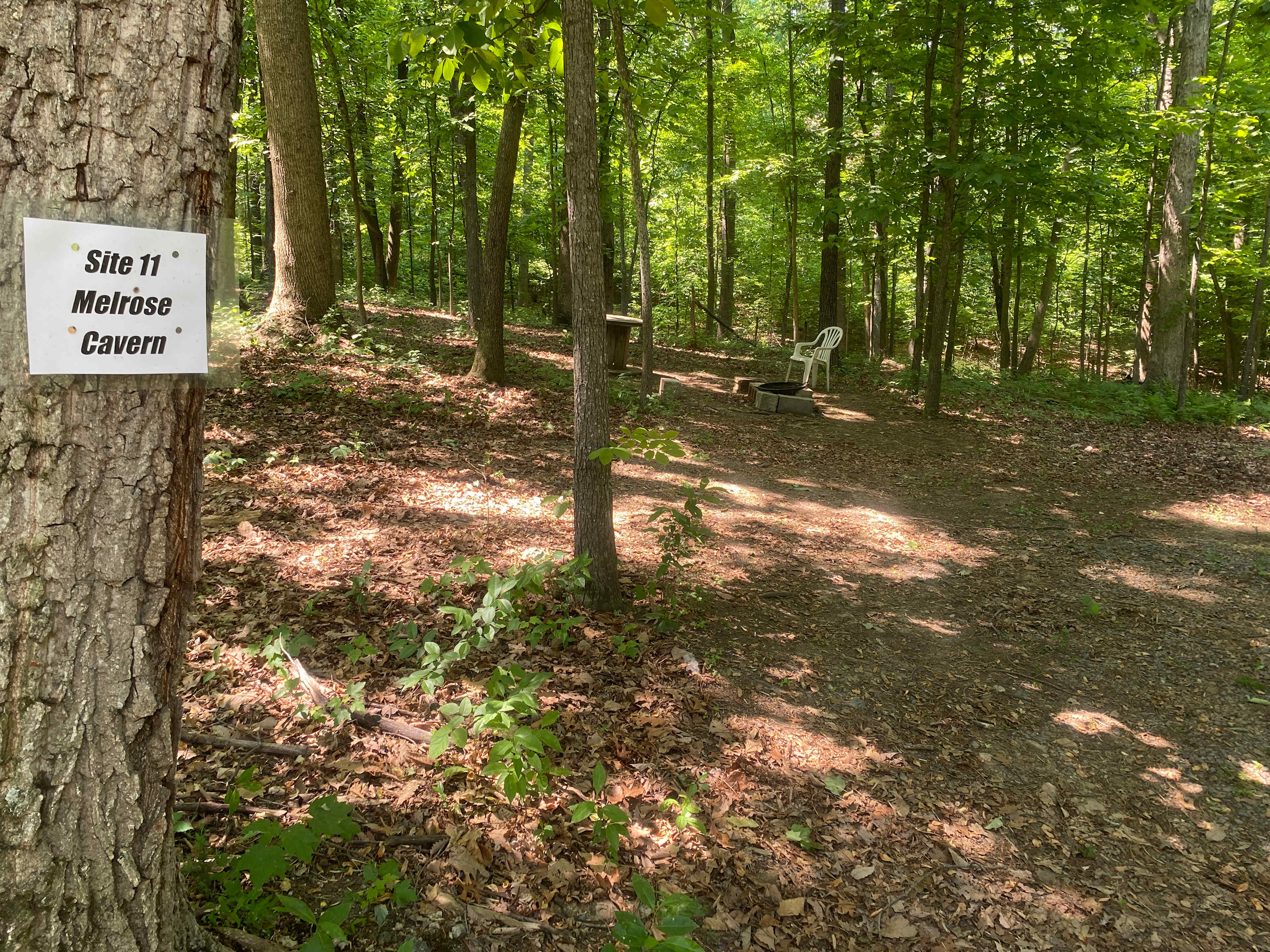 Picture of the site
