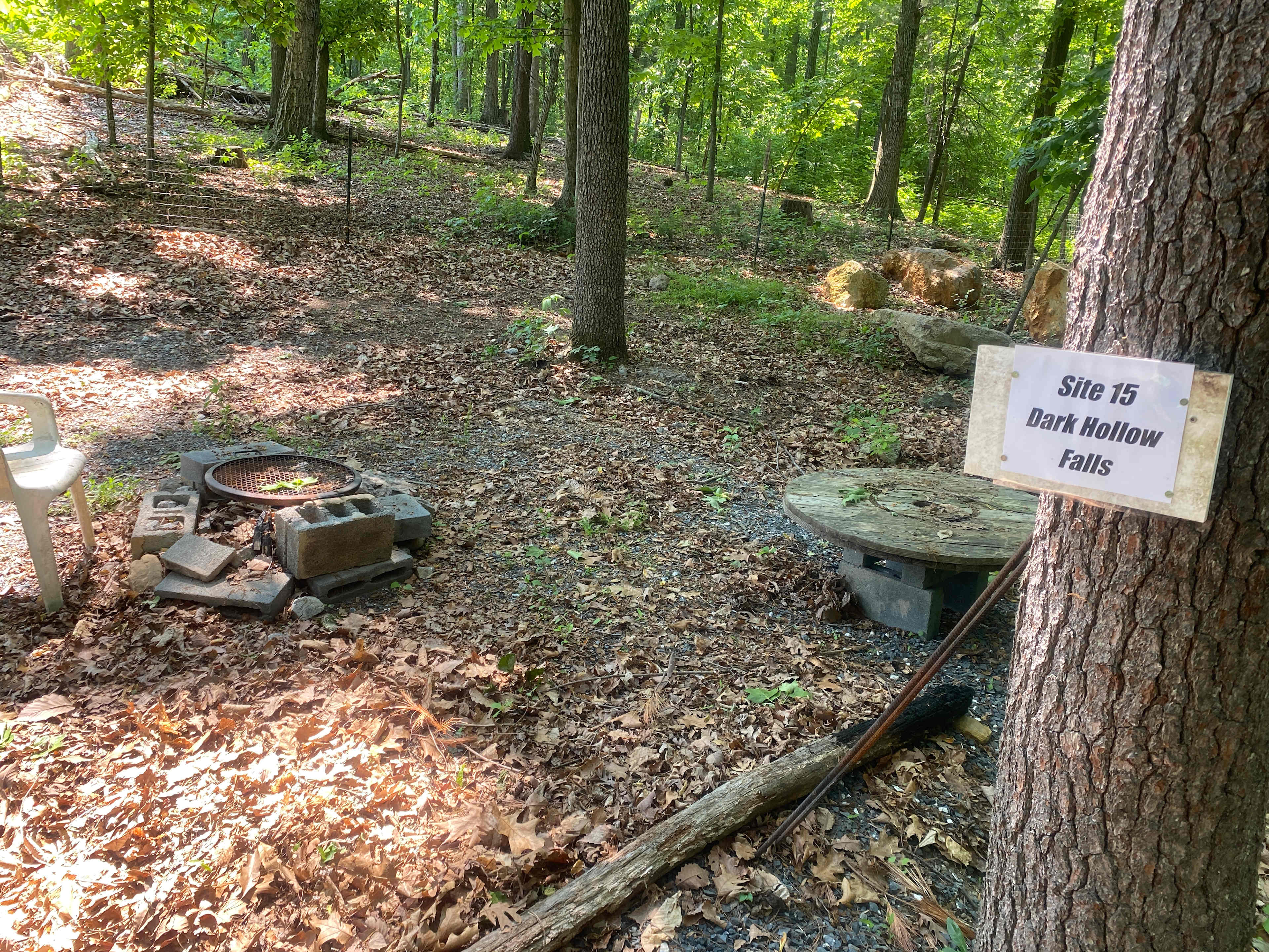 Picture of the site