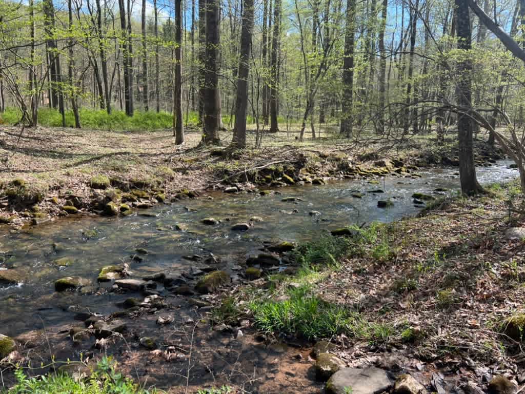 Free Spirit Campground