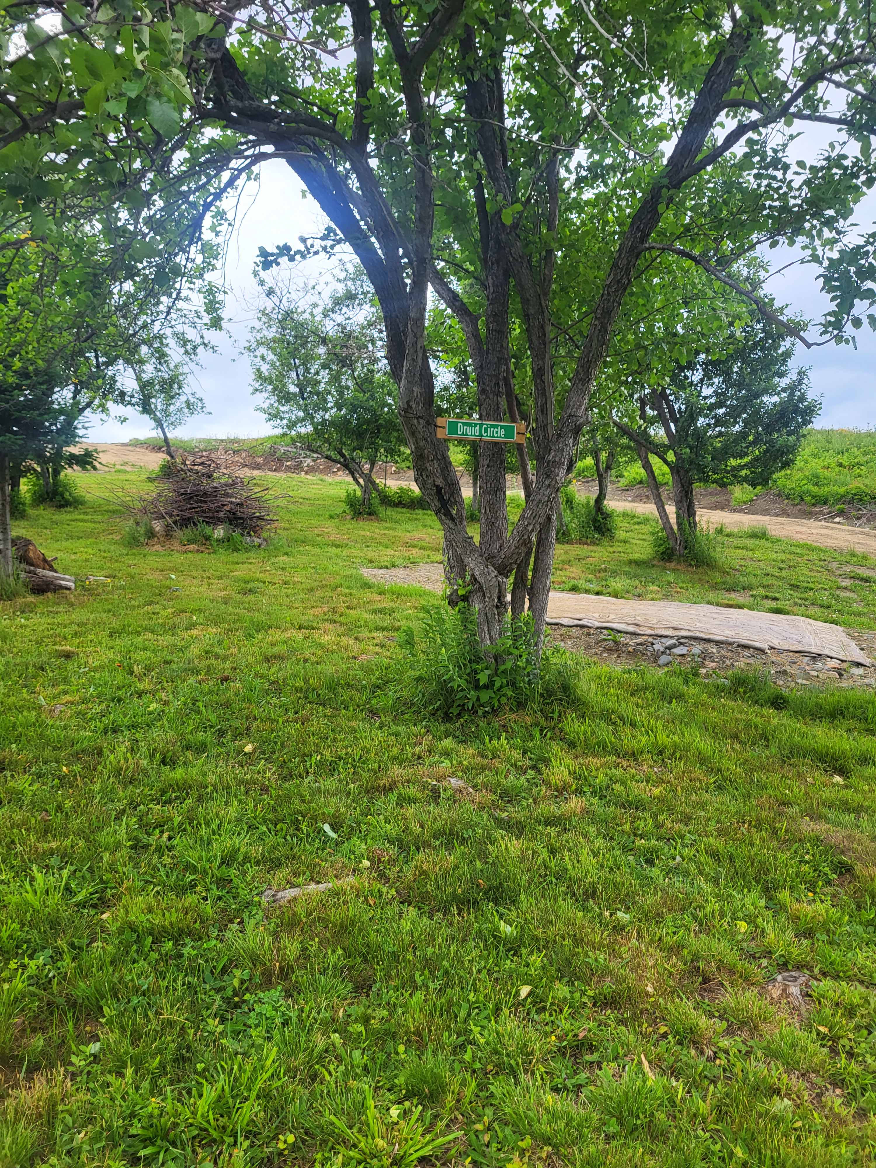 Picture of the site
