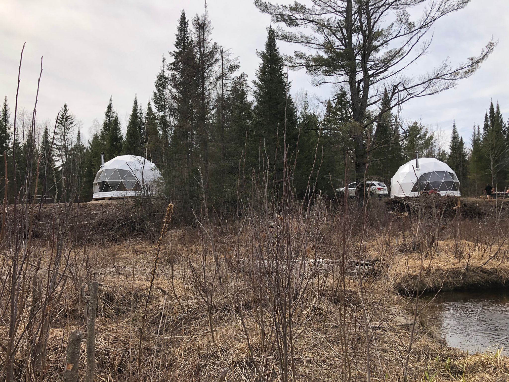Picture of the site