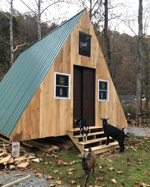 Camp Holly