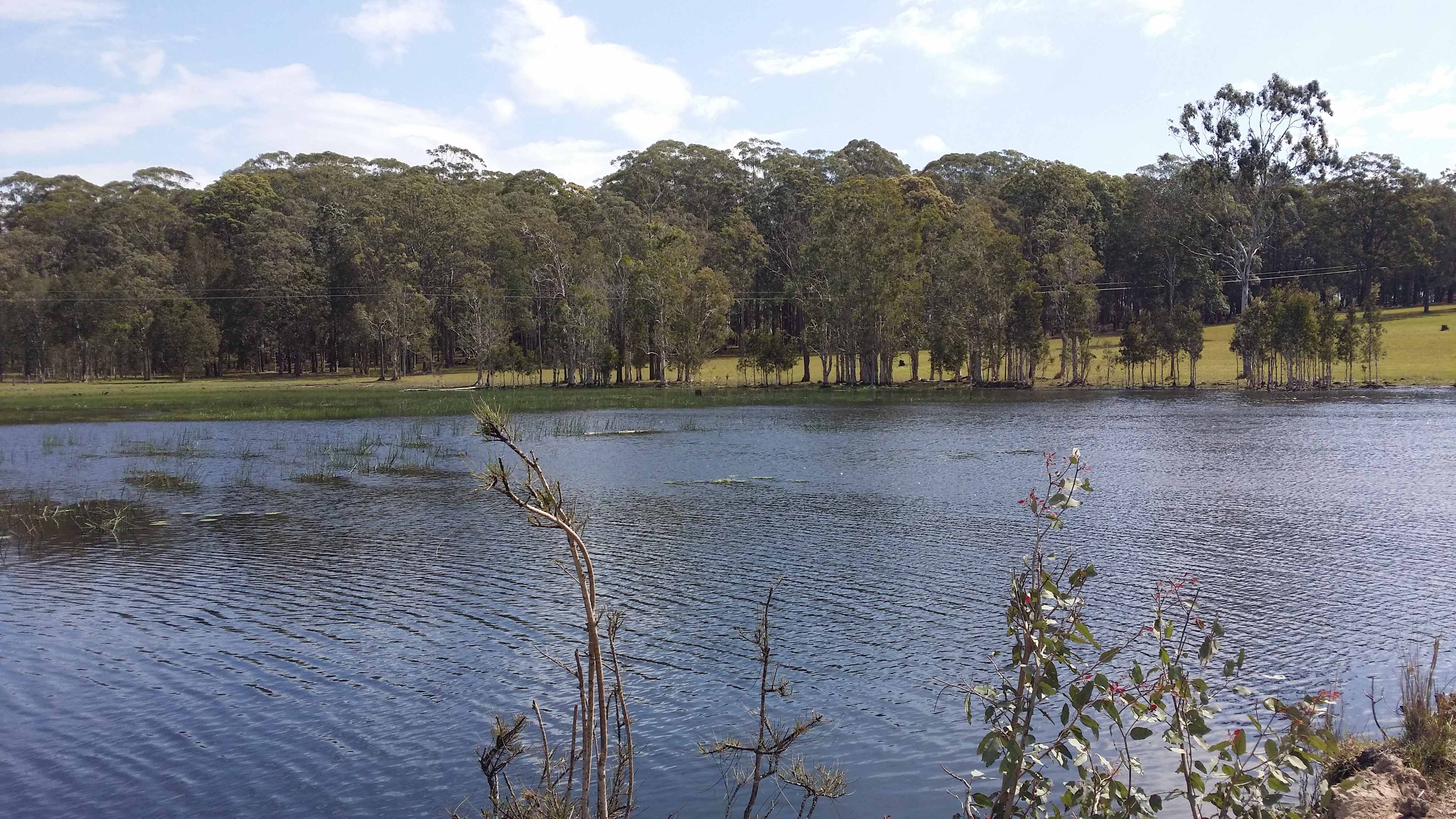 Glencliffe Lea