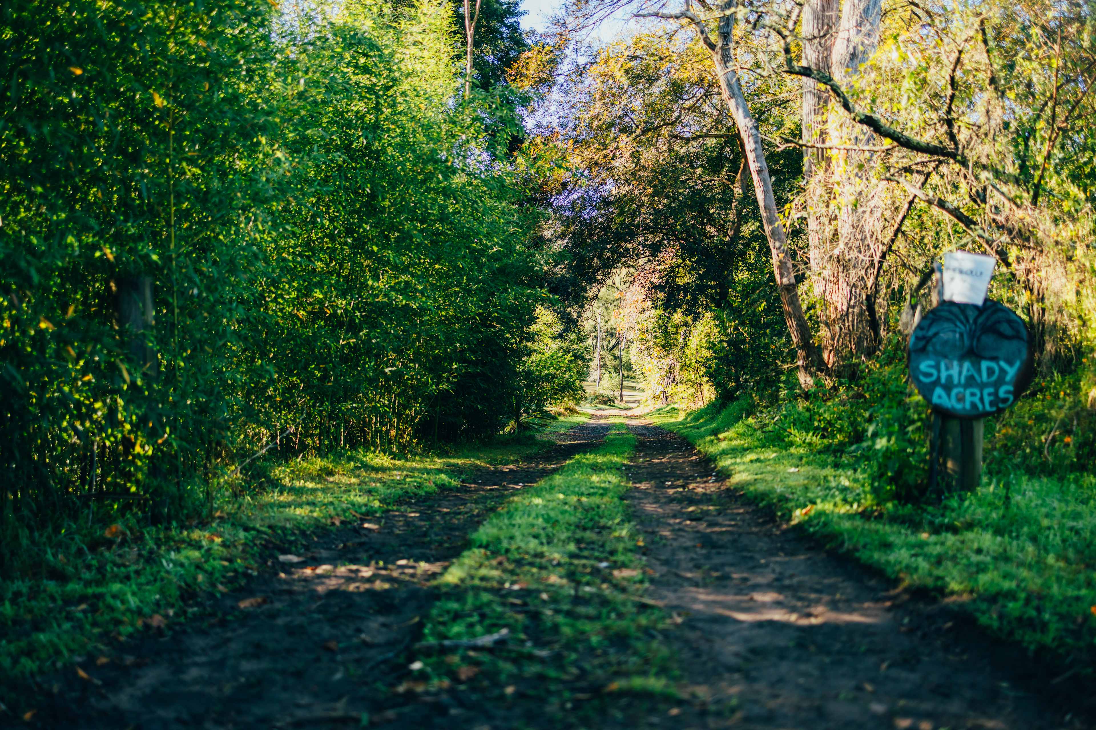 Shady Acres Colo River