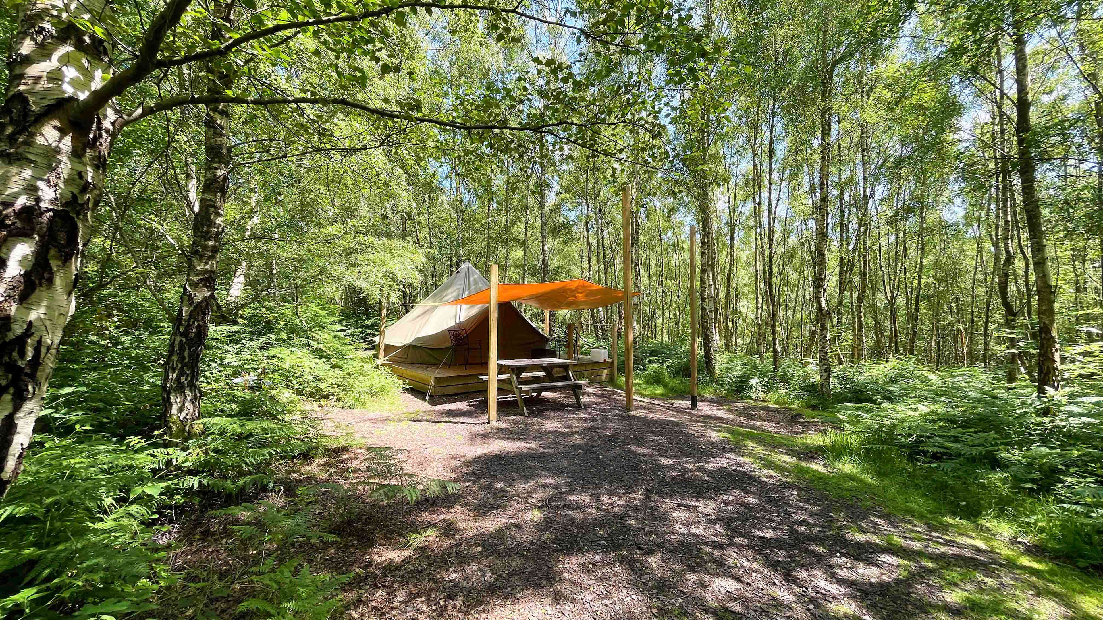 'Wild Glamping' Bell Tent at Beech Estate Campsite, East Sussex