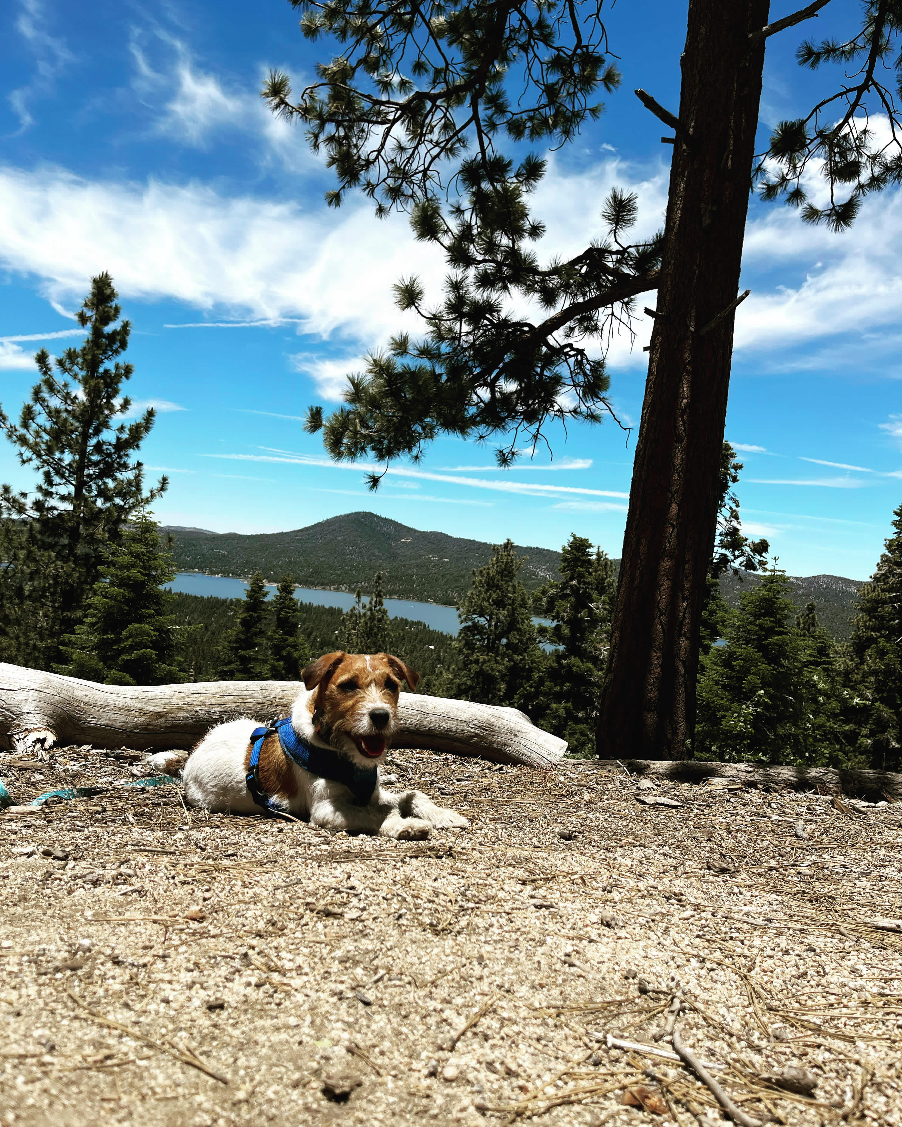 The Little Red Box - Big Bear cabin