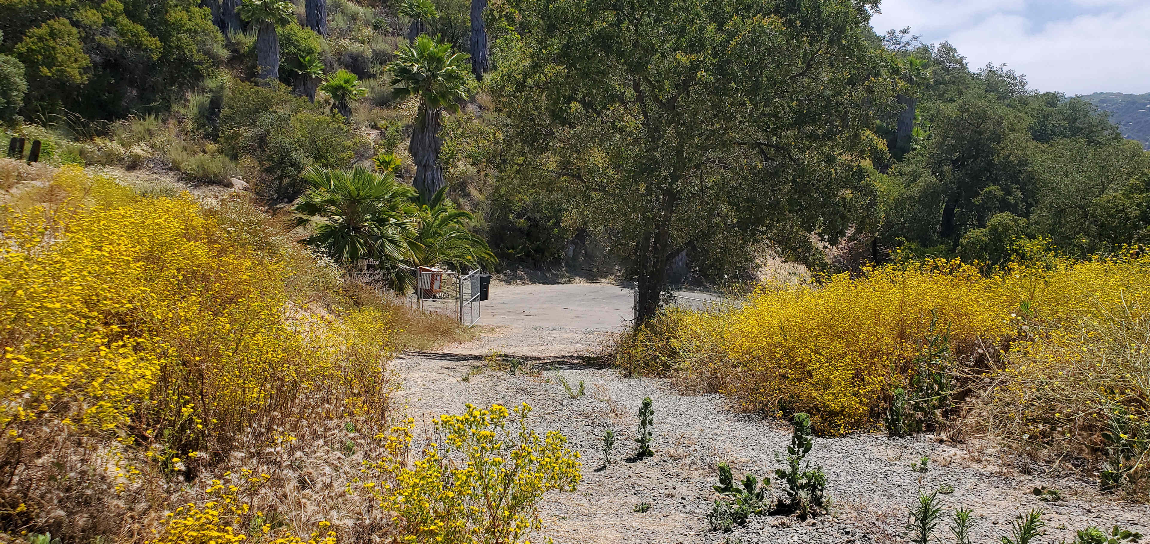 The Green Ravine & Trails in SoCal