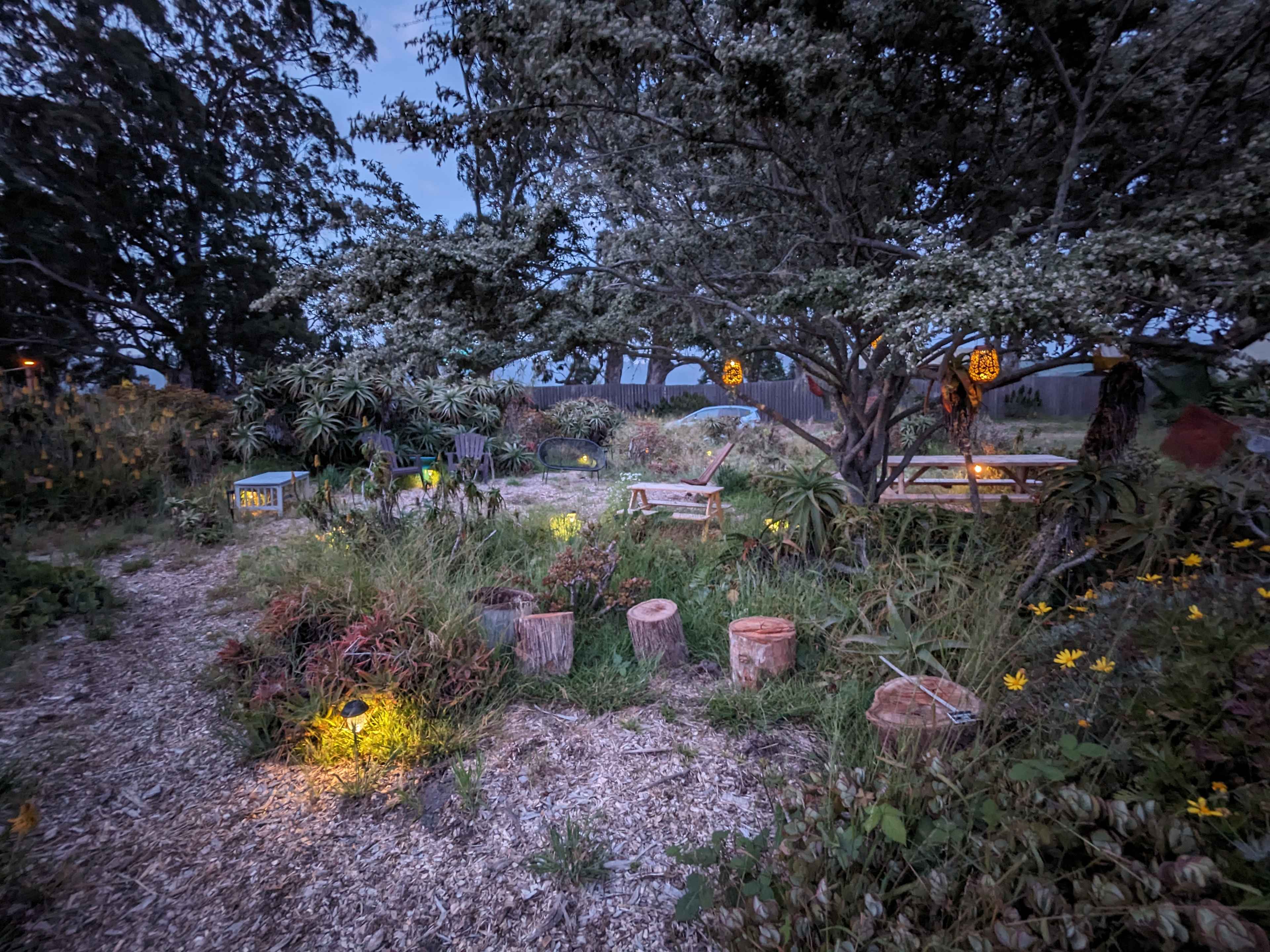 Euphorbia Gardens