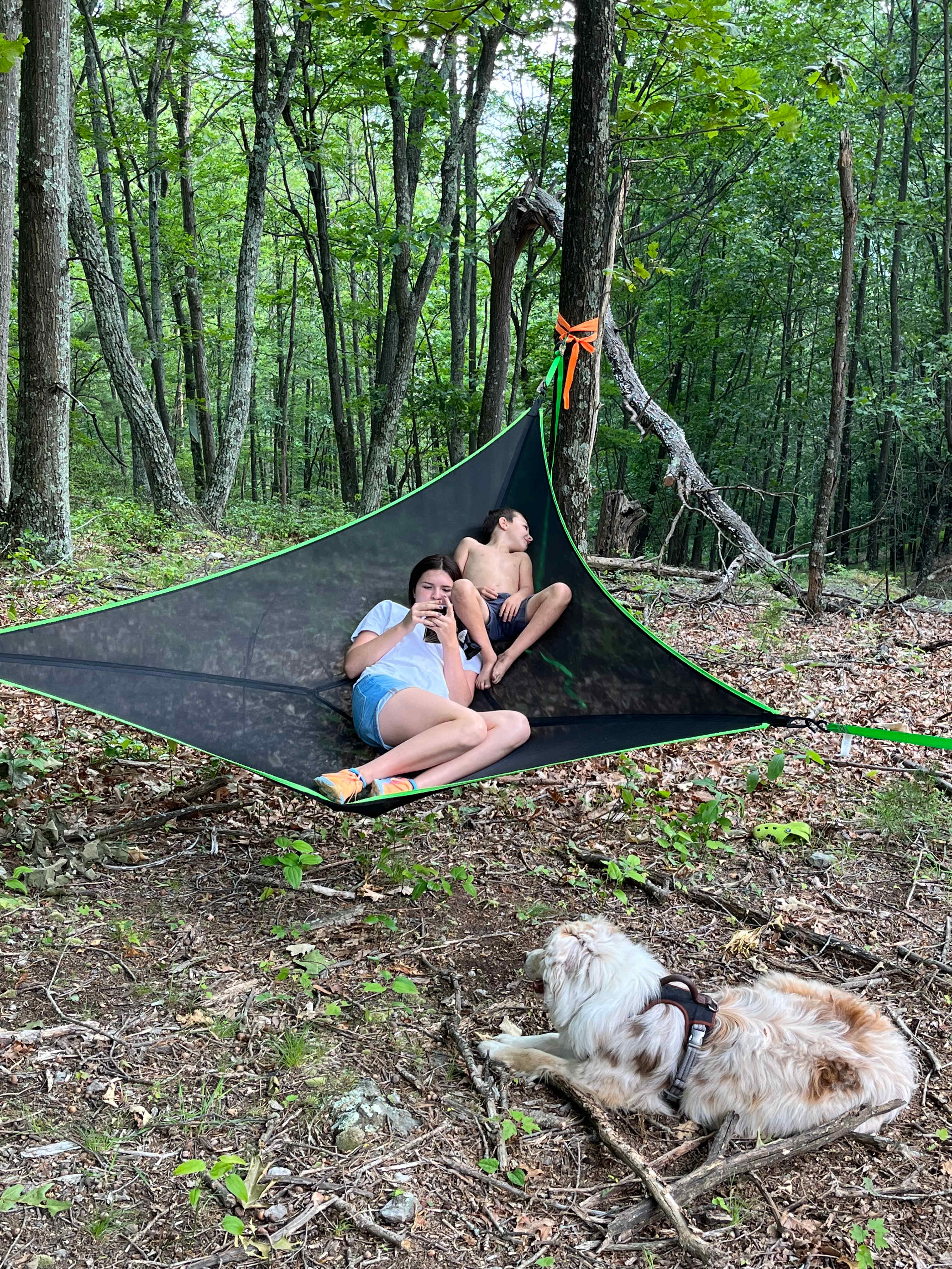 Rocky Hollow Paradise LLC