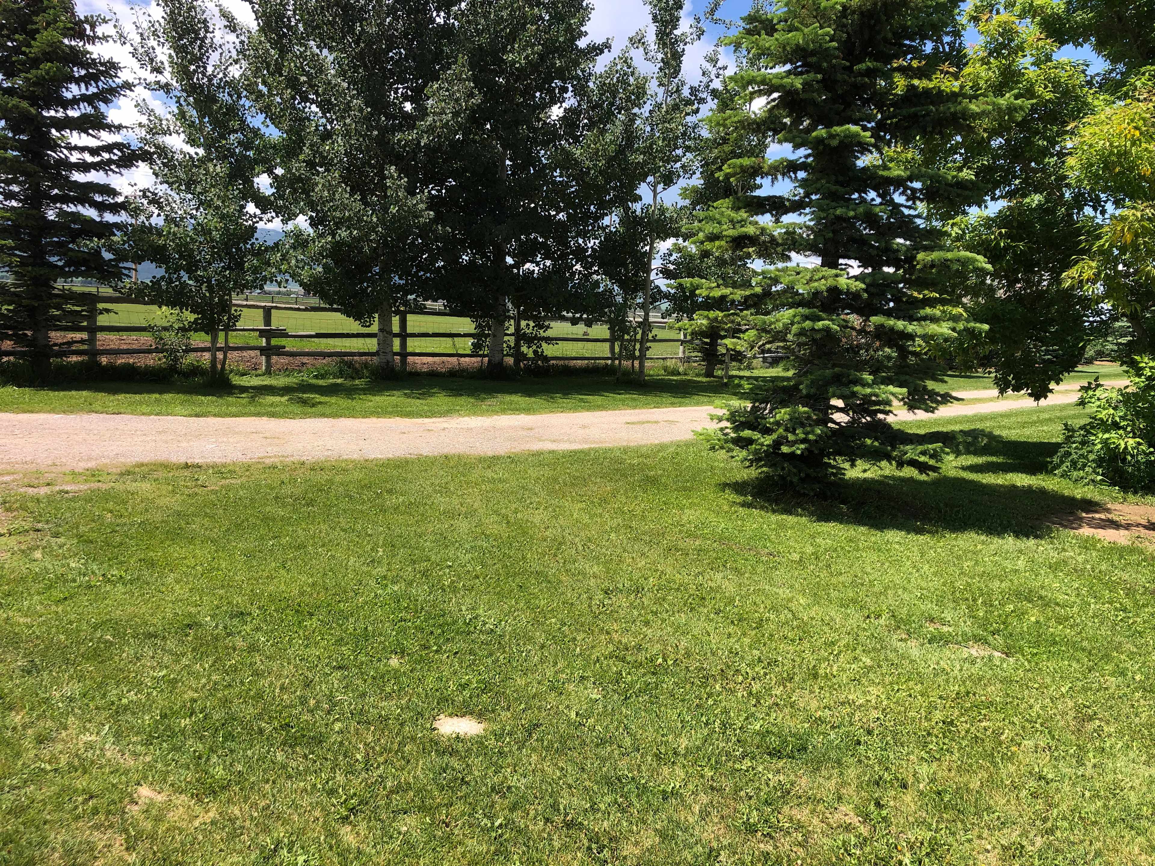 A view of two spots to pitch a tent, park an RV or Camper 
