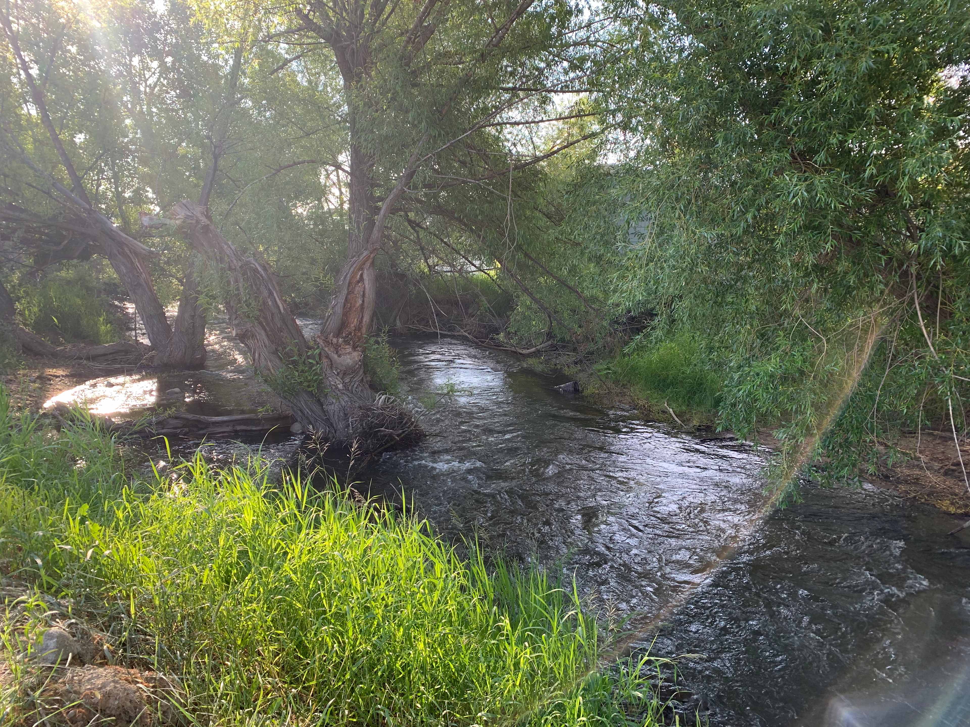 Ten Mile Creek Retreat