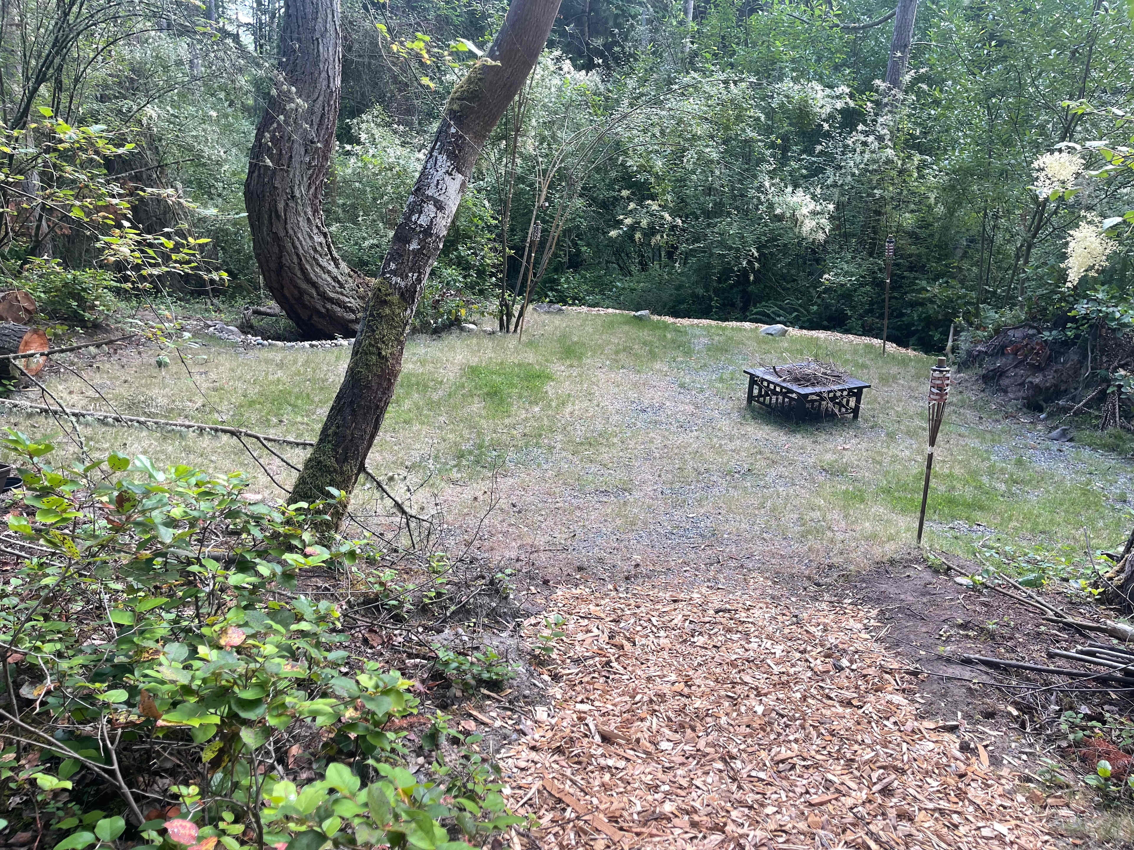 Ferns 'n' Frolicss Campground ⛺️