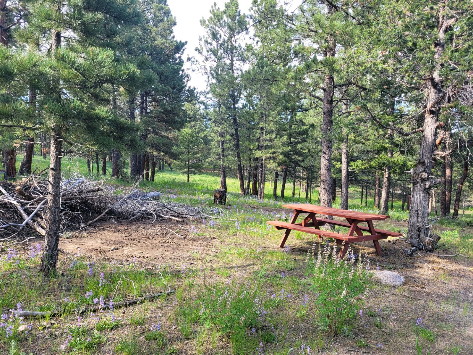 Picture of the site