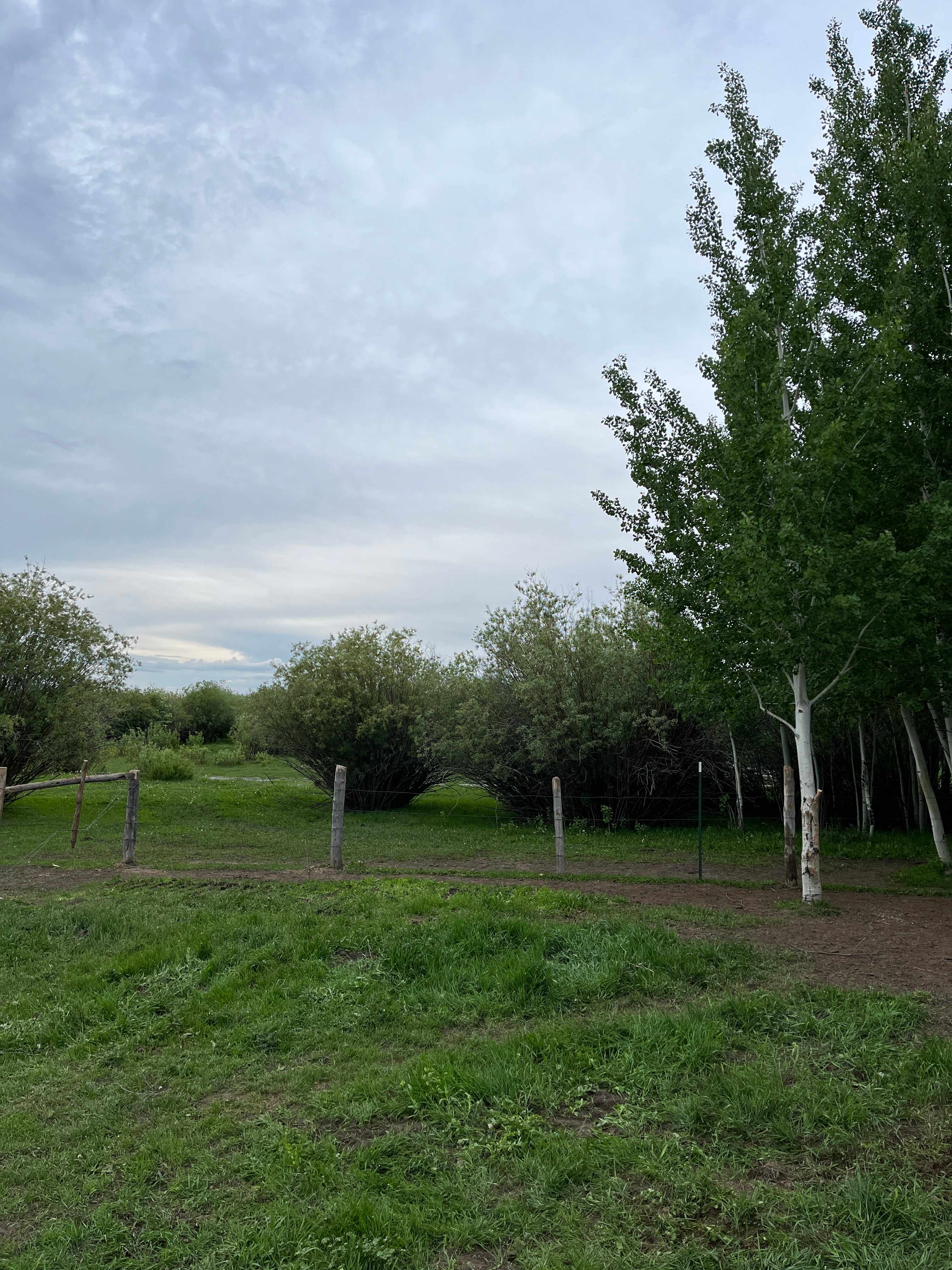 Buffalo Springs Campsite