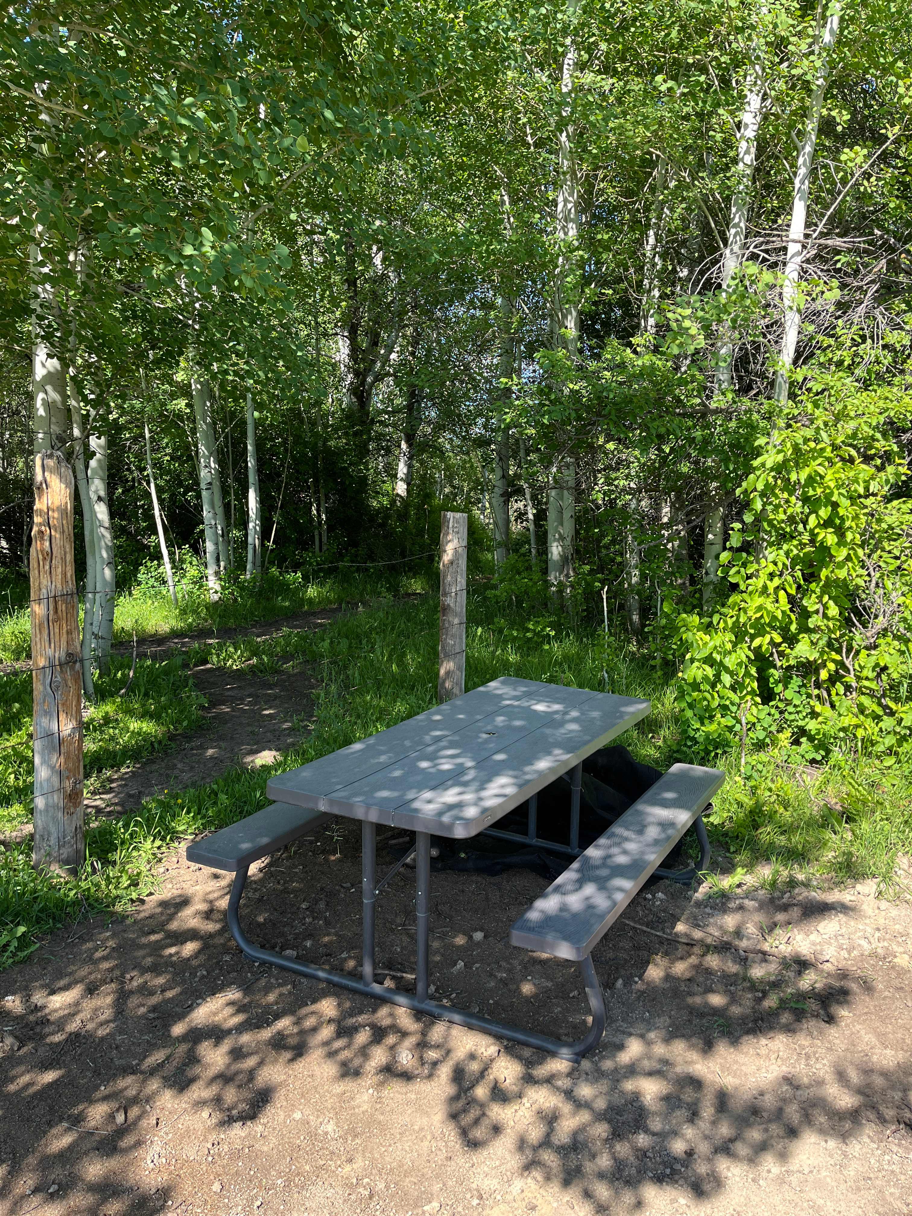 Buffalo Springs Campsite