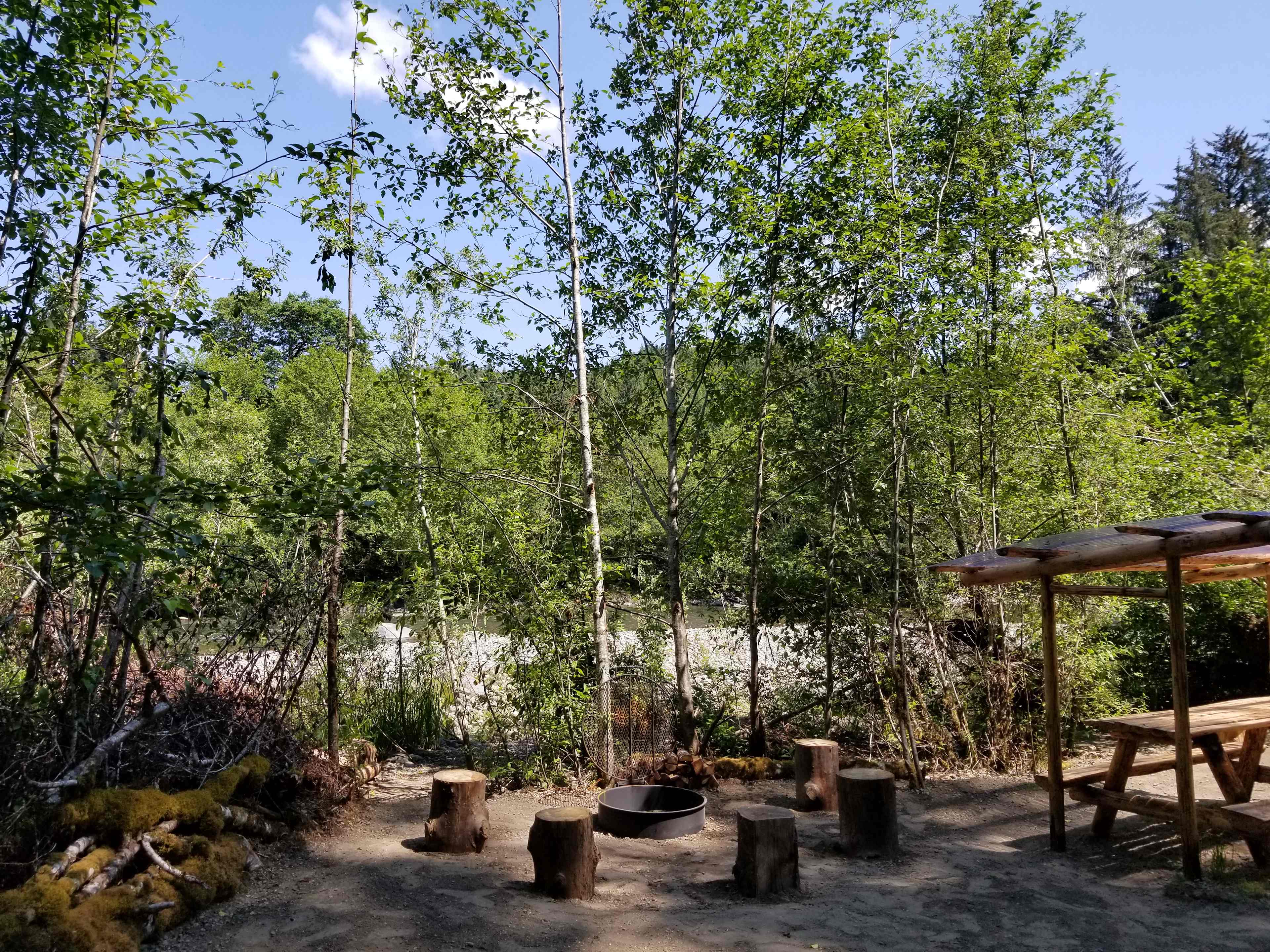 Picture of the site
