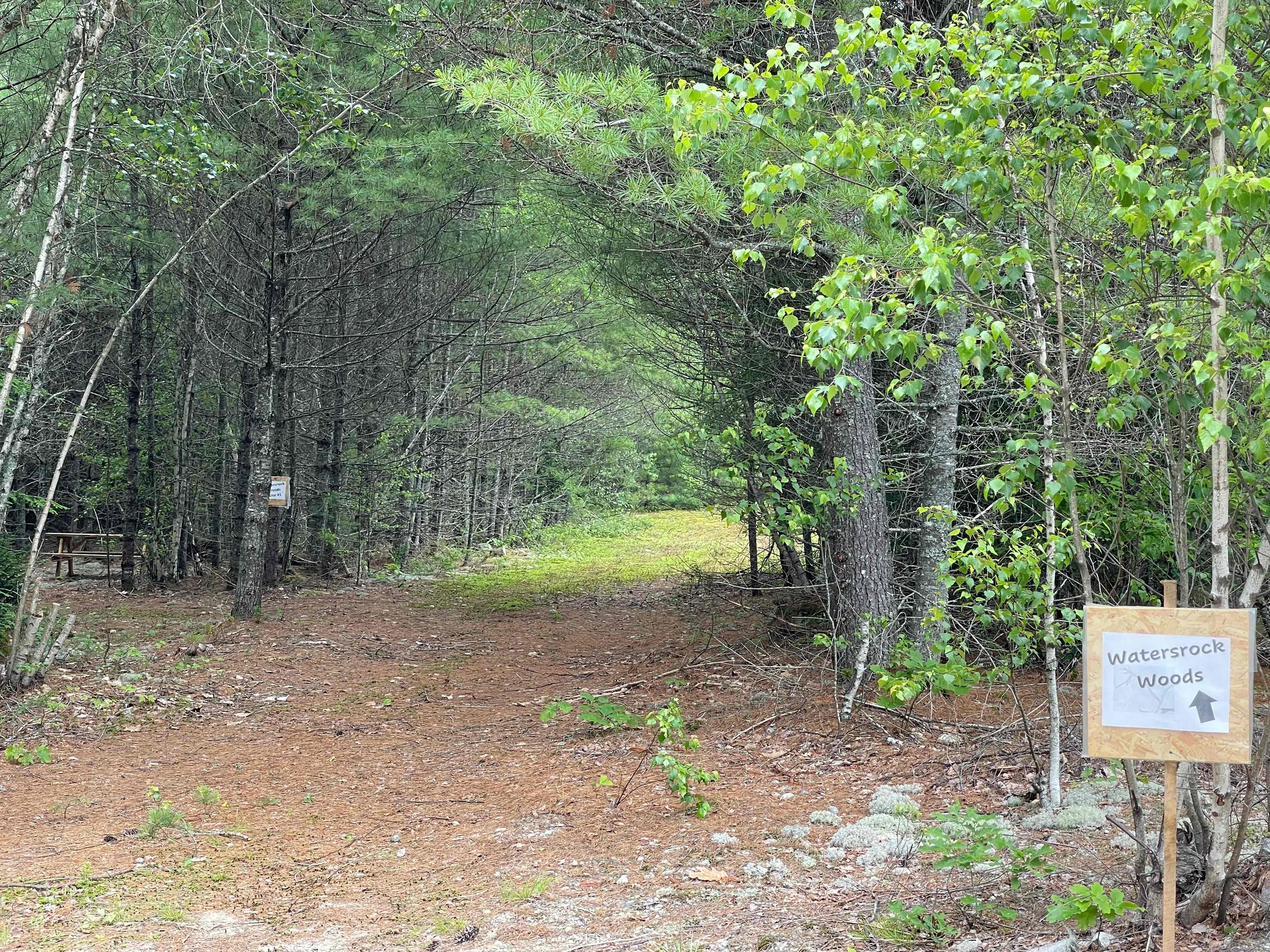 Watersrock Woods