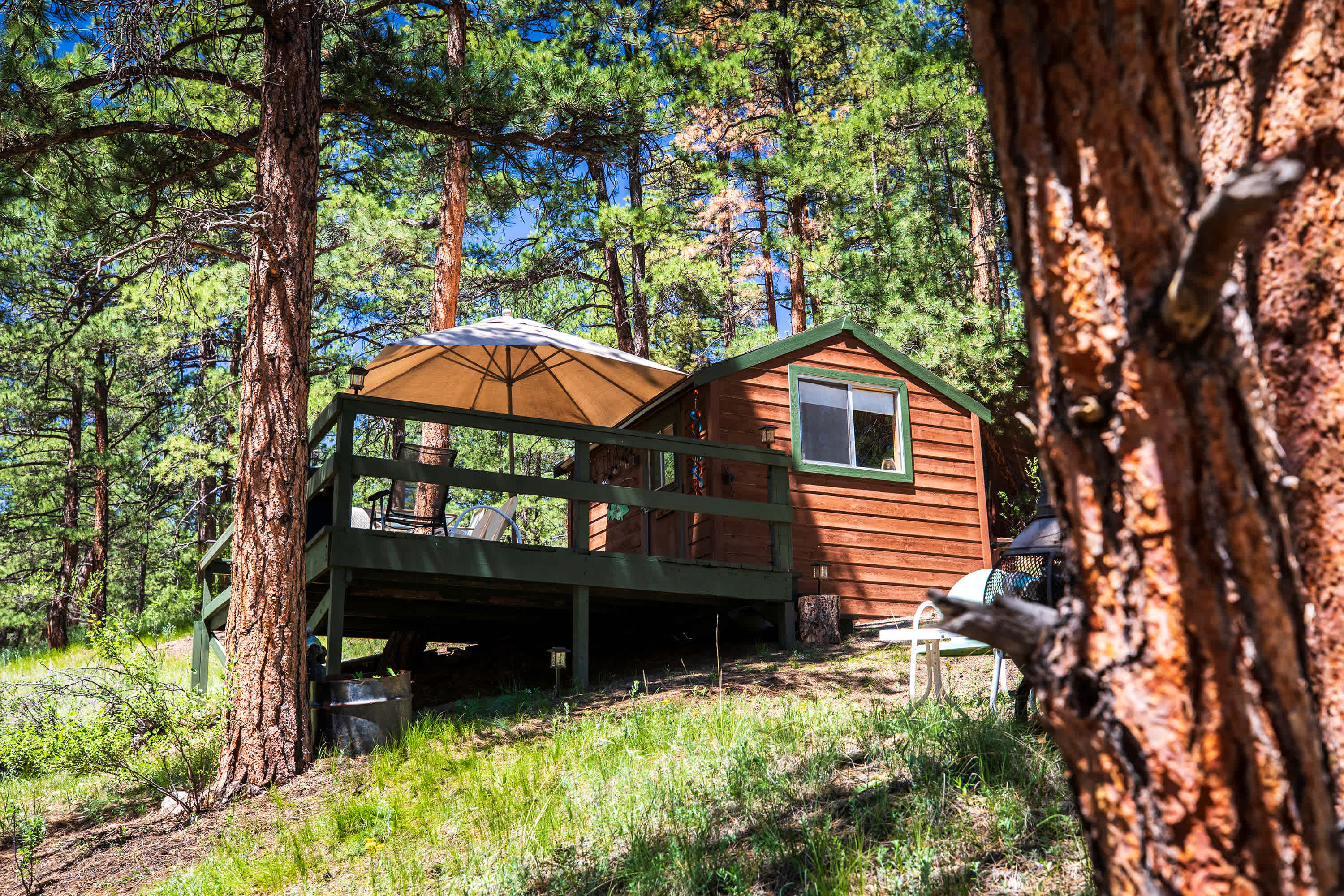 The Fisherman's Cabin