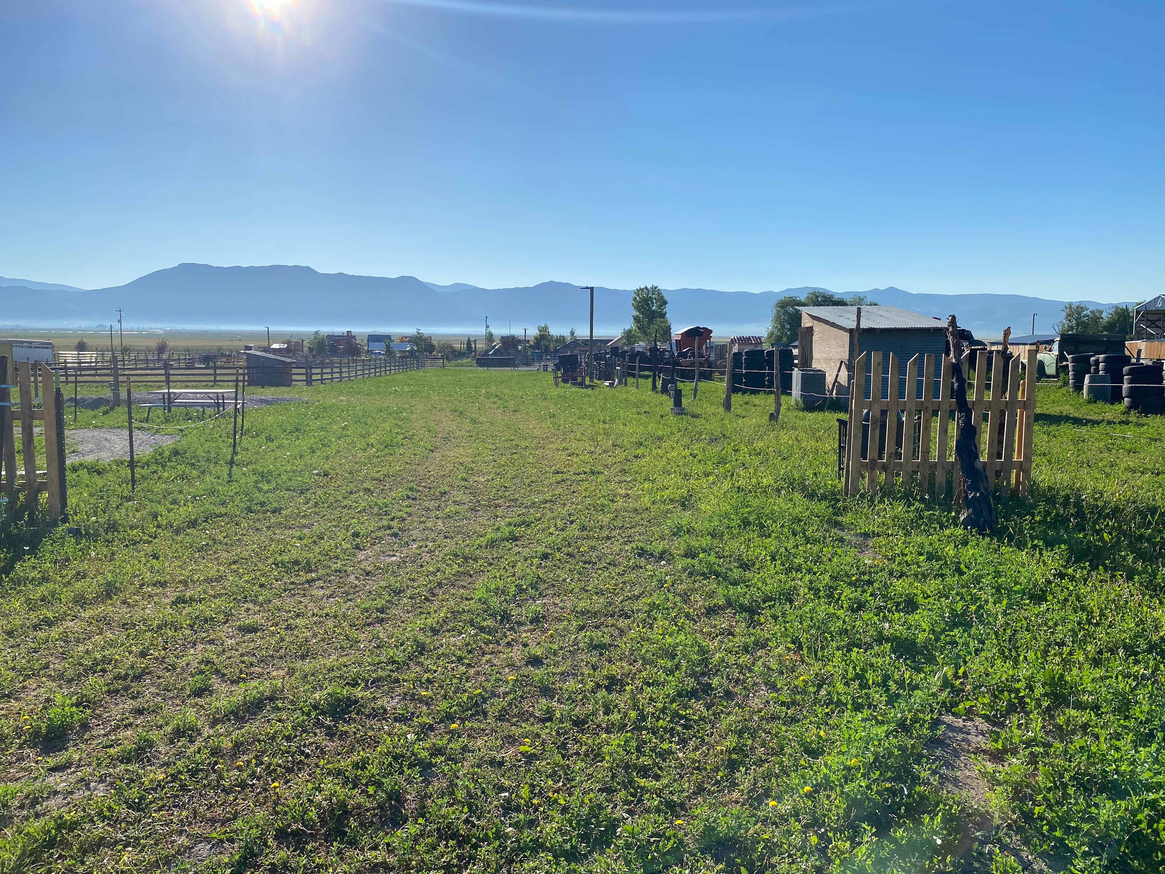 Picture of the site